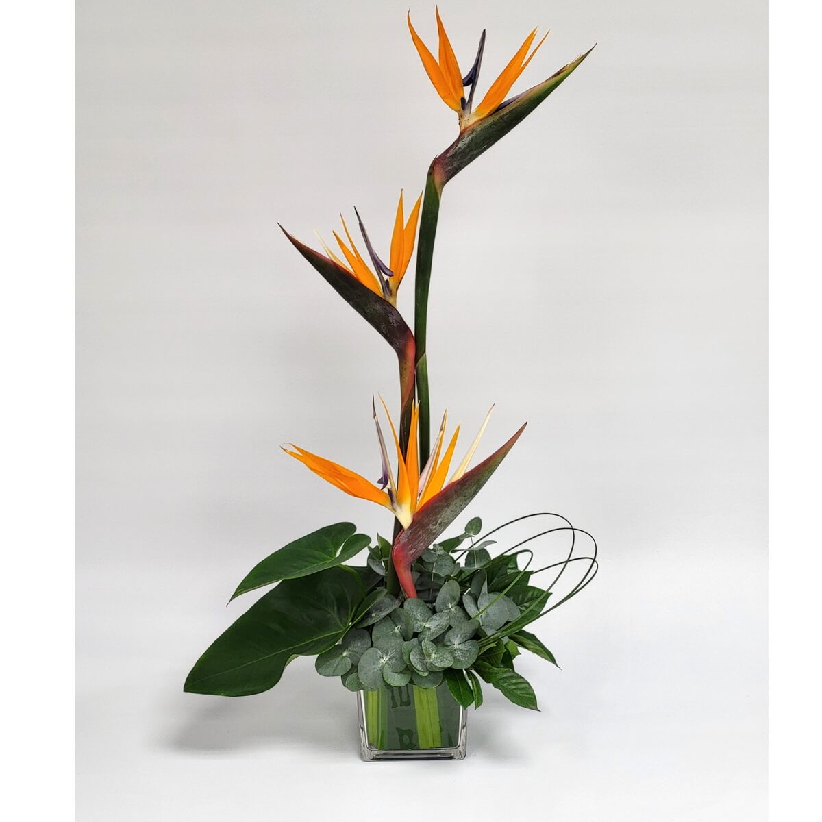 Striking Bird of Paradise in tall design with lush foliage in a square vase 高挑天堂鳥配搭翠綠葉材,插於方形玻璃瓶中,造型簡約卻極具現代藝術感,彰顯自然野性之美。