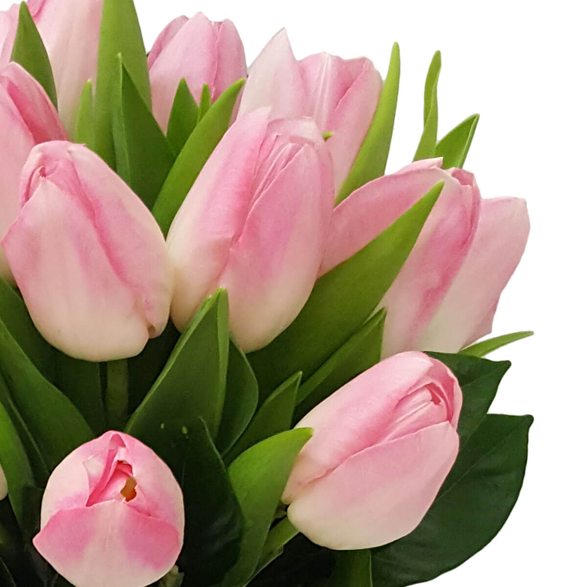 Detail view of a cluster of pastel pink tulips with white undertones, surrounded by glossy green leaves in a natural arrangement - 淡粉紅鬱金香花束細節,帶白底花瓣與亮綠葉自然搭配