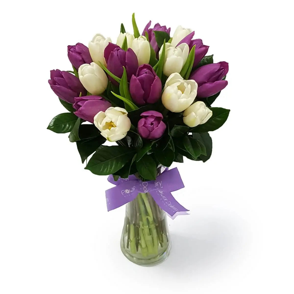 Arrangement of white and purple tulips with glossy green leaves in a clear glass vase, finished with a lavender ribbon | 白與紫鬱金香配以亮綠葉插於透明玻璃花瓶中,以淡紫色絲帶作點綴。