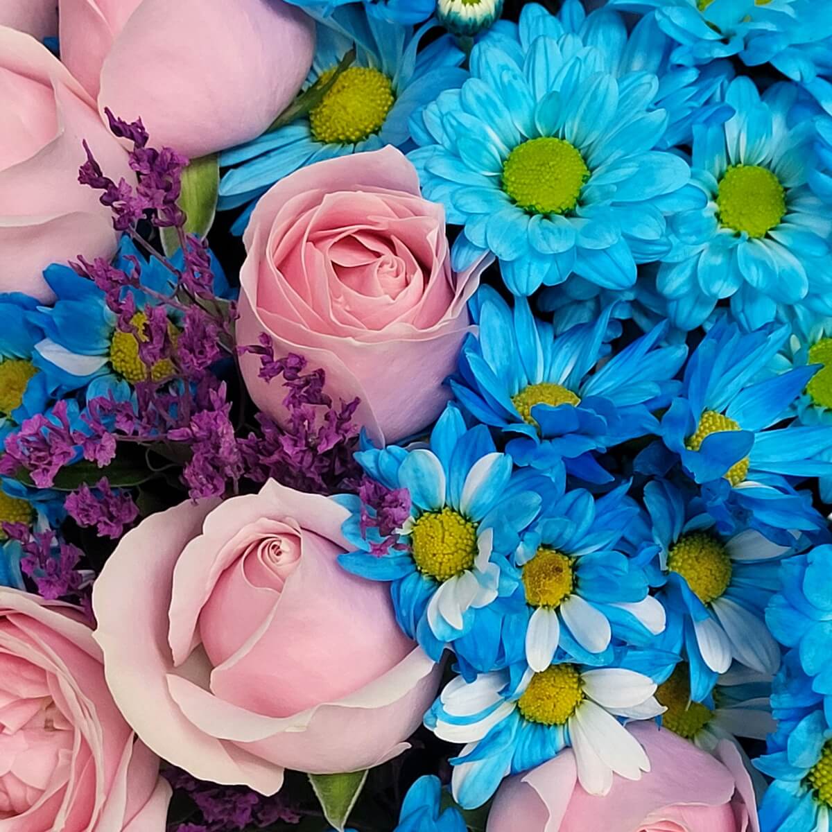 Pink roses with blue-white daisies and purple statice - 粉紅玫瑰配藍白雛菊及紫色勿忘我花的繽紛花藝設計。