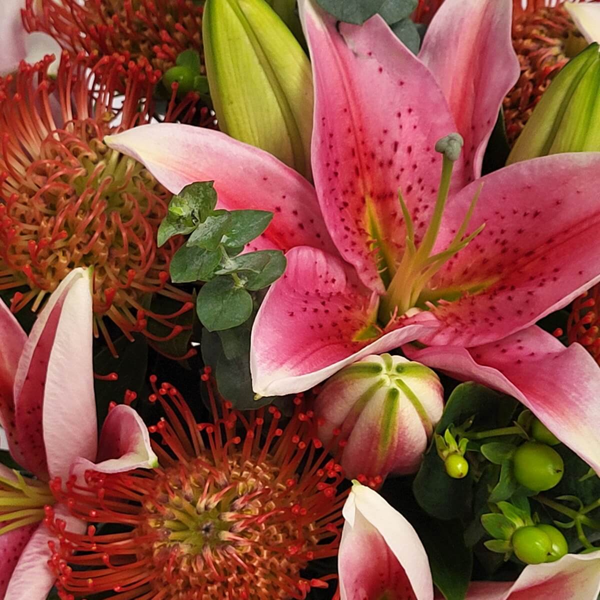 Close-up of stargazer lilies, pincushion proteas, hypericum berries, and eucalyptus. 香水百合、針墊花、貝母果與尤加利葉的特寫畫面。