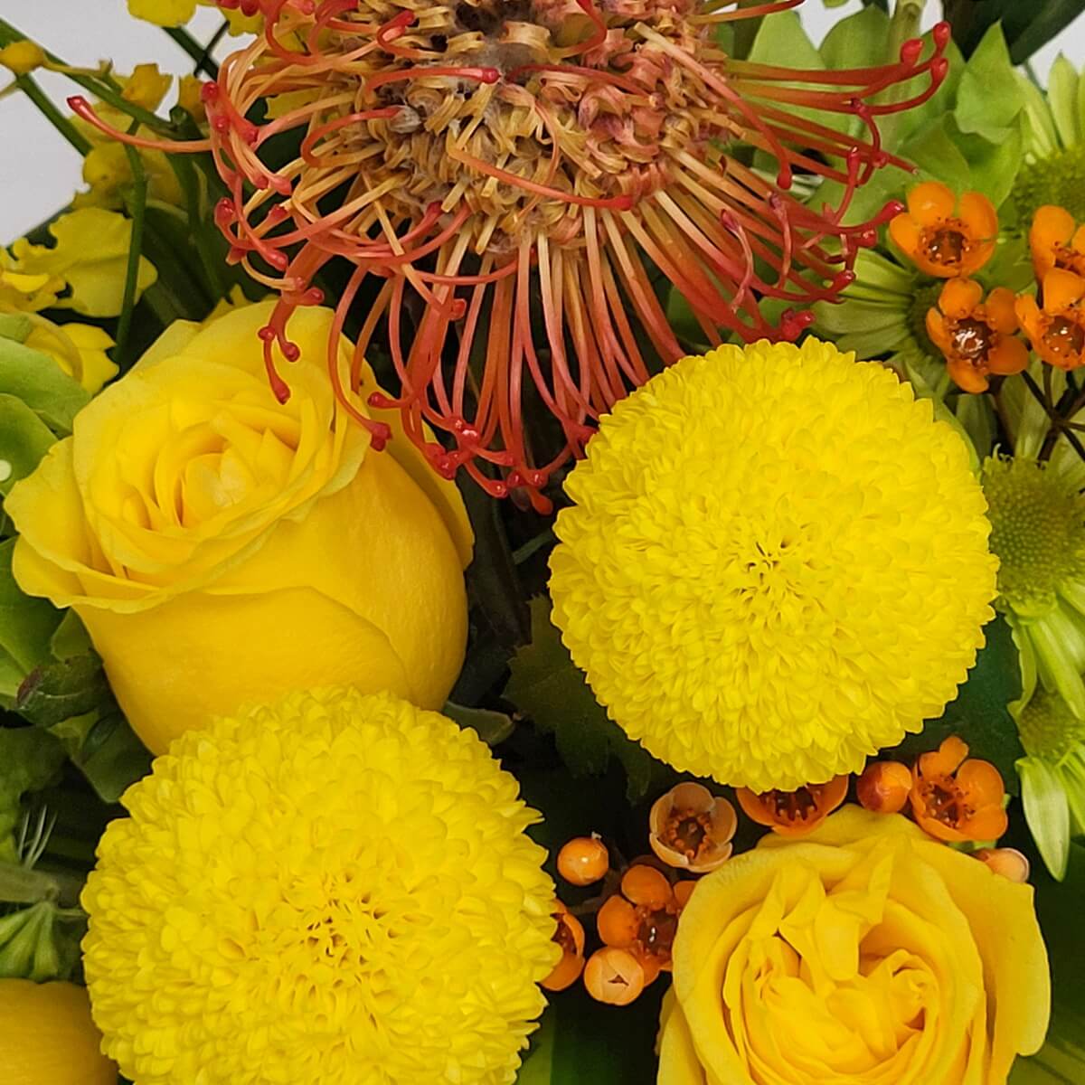 Close-up of yellow button chrysanthemums, yellow roses, pincushion protea and orange waxflowers - 黃色乒乓菊、玫瑰、針墊花與橙色蠟花特寫