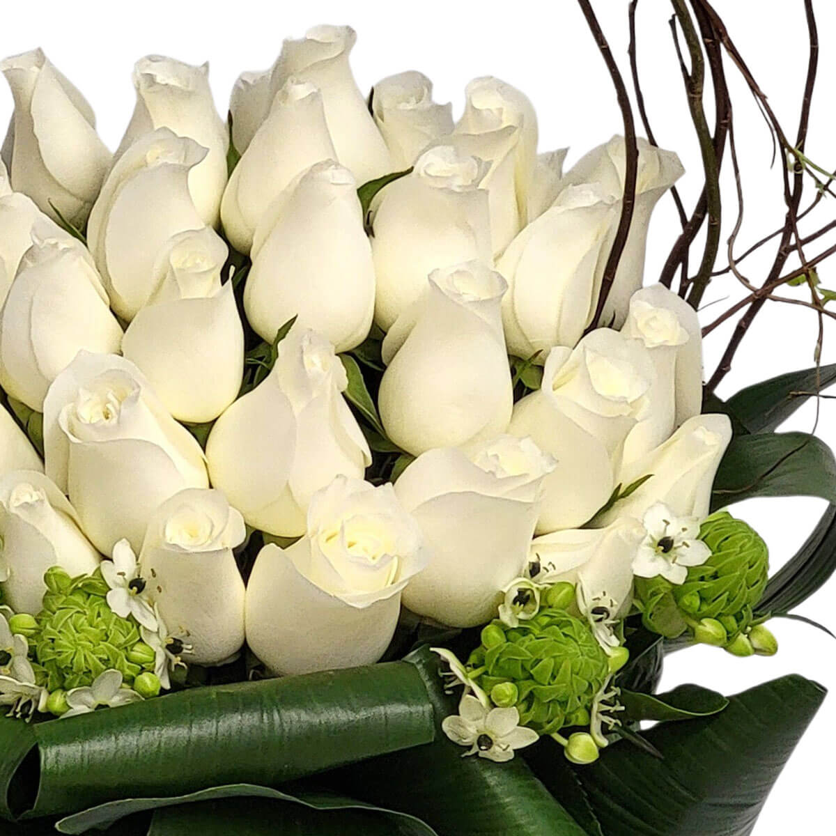 A bouquet of white roses and delicate green buds, symbolizing purity and grace 白玫瑰與綠蓓蕾組成的花束,純潔、寧靜,適合傳達最真摯的祝福與敬意。