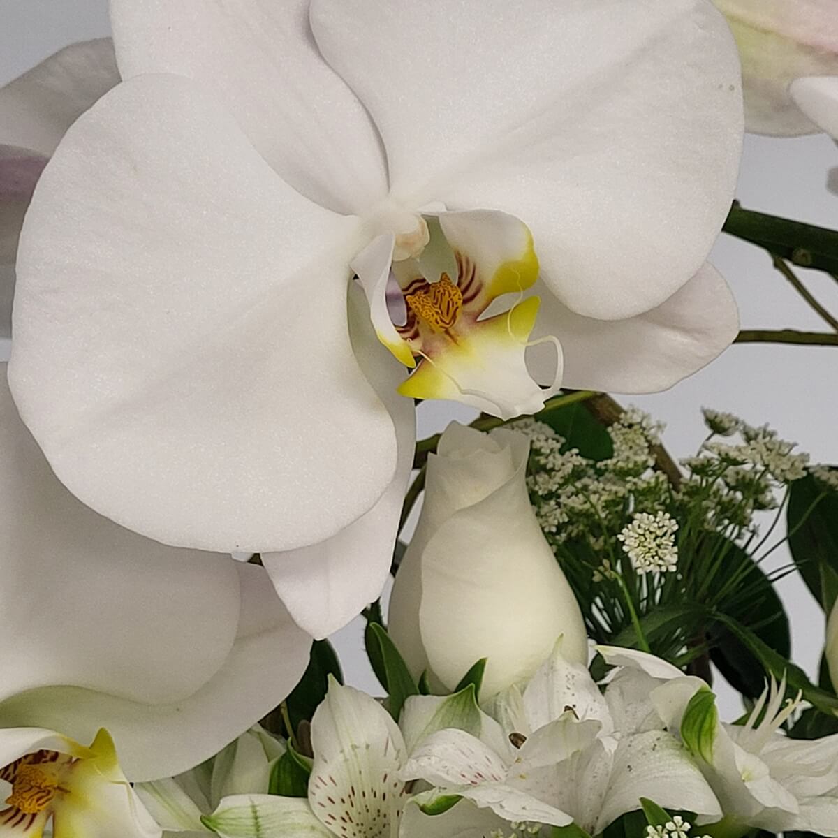 Close-up of white phalaenopsis orchid with yellow accents, rosebud, alstroemeria, and filler blooms 白色蝴蝶蘭配黃芯、白玫瑰花苞、百合花與小巧襯花,構成細緻典雅的單色系花束。