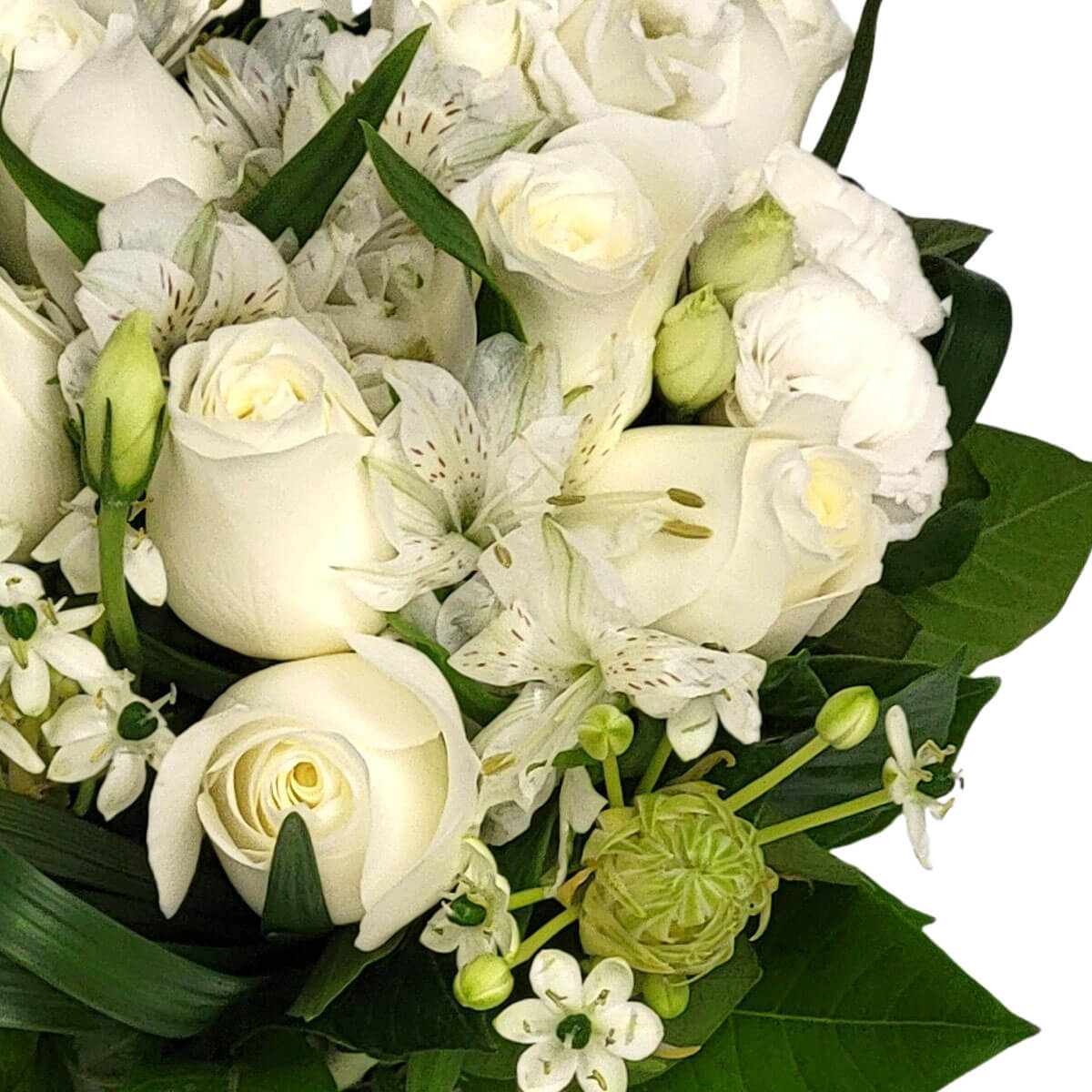 An elegant mix of white roses, lilies, and exotic blooms, perfect for expressing peace and reverence 純白玫瑰與百合及異國花卉融合,傳遞寧靜與敬意的花語。