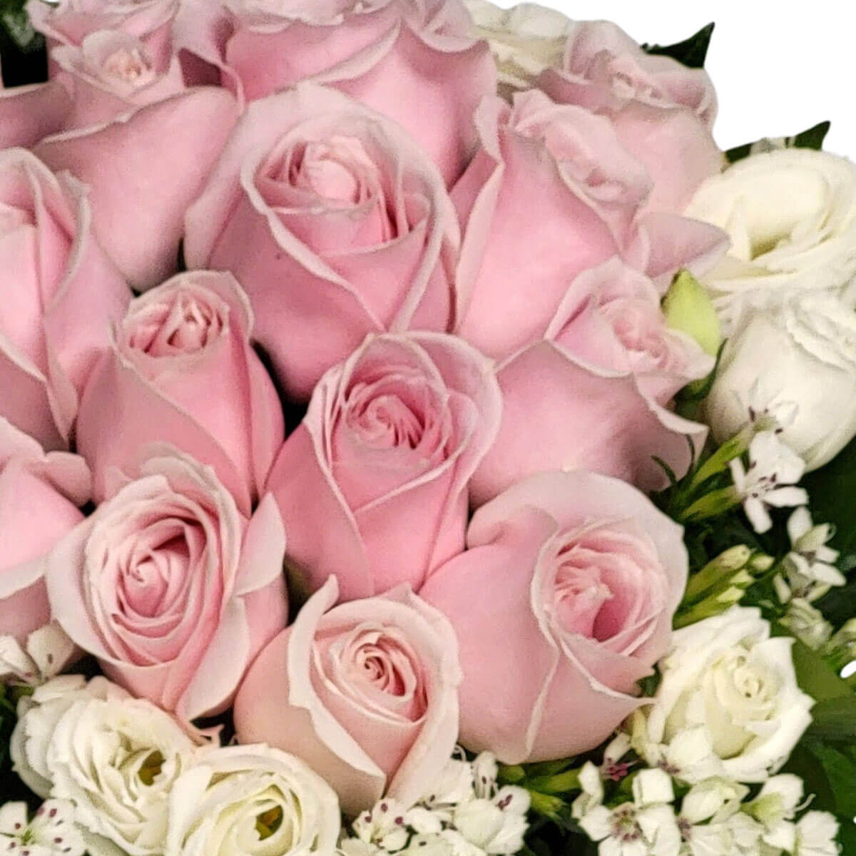 A tender arrangement of blush roses and white blooms, symbolizing grace and affection 柔粉玫瑰搭配白色花卉,傳遞優雅與溫柔情意的花語。