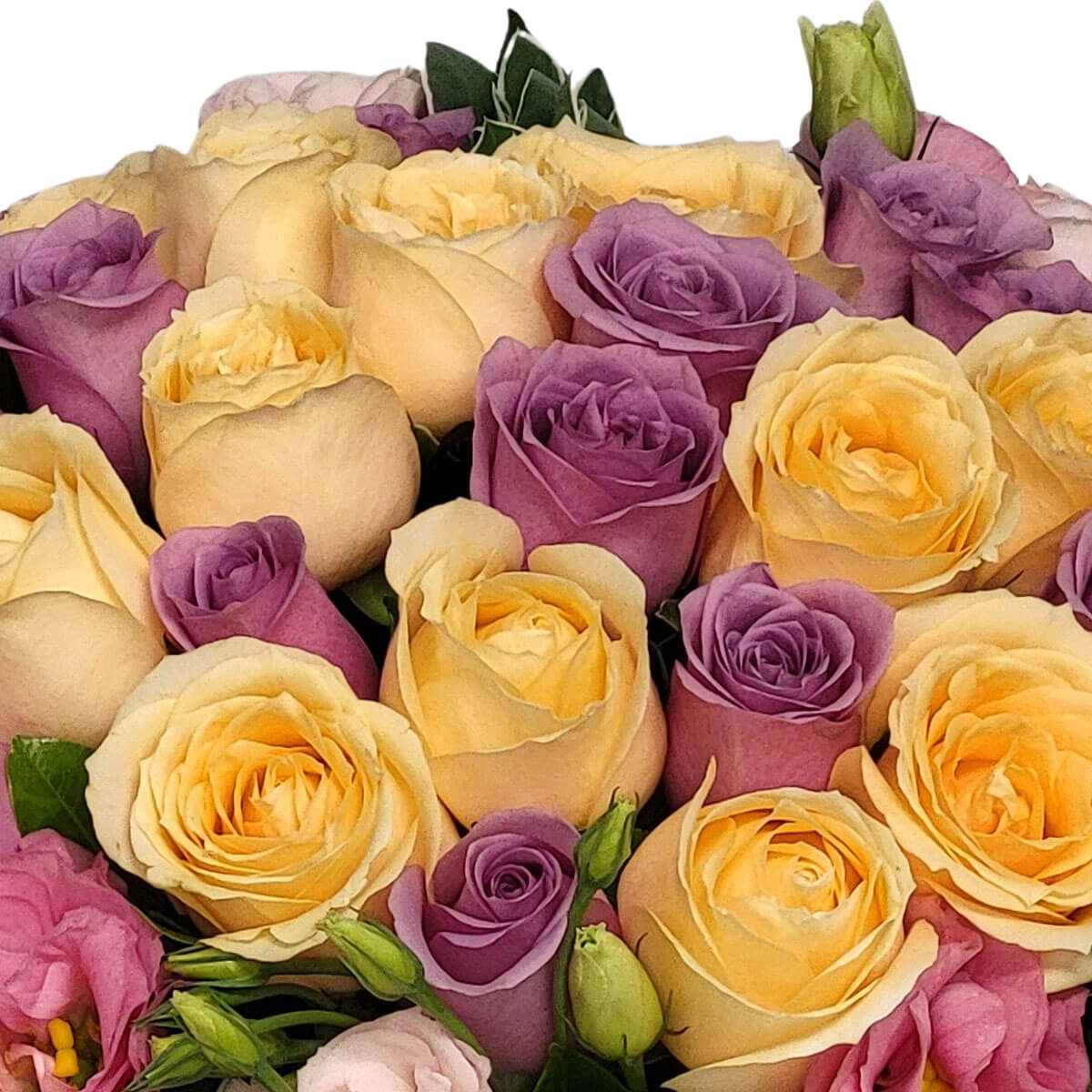 A graceful mix of golden yellow and lavender roses, symbolizing joy and enchantment 柔黃與紫羅蘭玫瑰綻放交融,象徵喜悅與浪漫夢幻的心意。