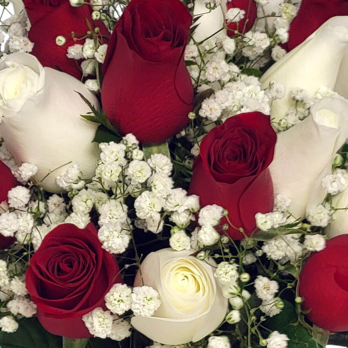 A graceful bouquet of red and white roses embraced by airy baby’s breath flowers 浪漫紅白玫瑰與潔白滿天星交織,獻上純粹愛意與溫柔情感。