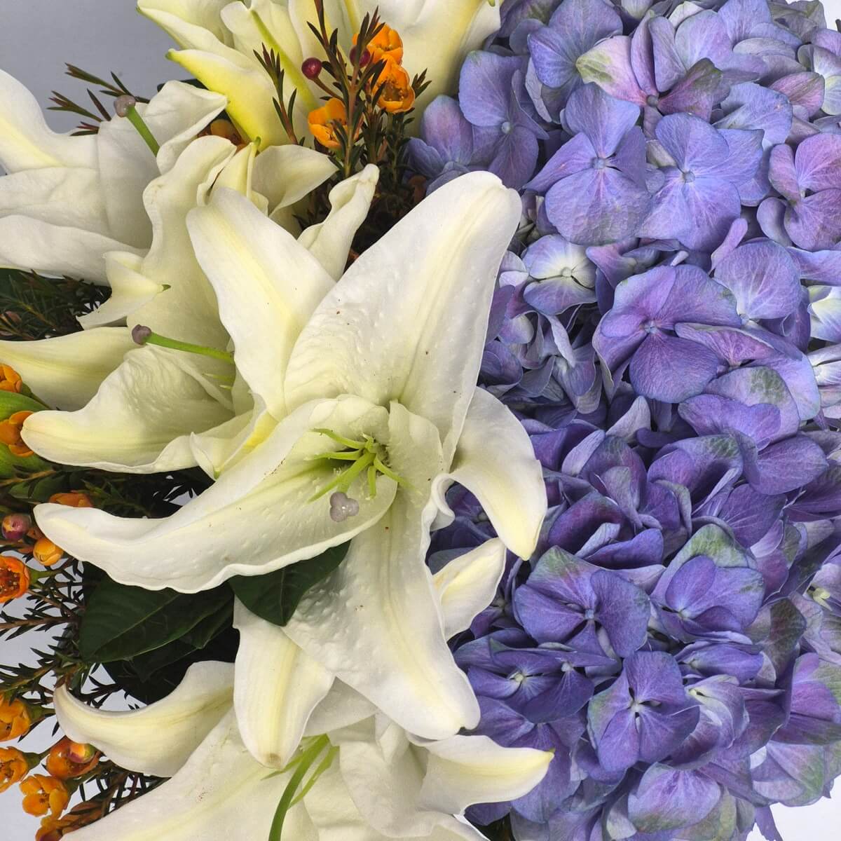 Spring Blessing