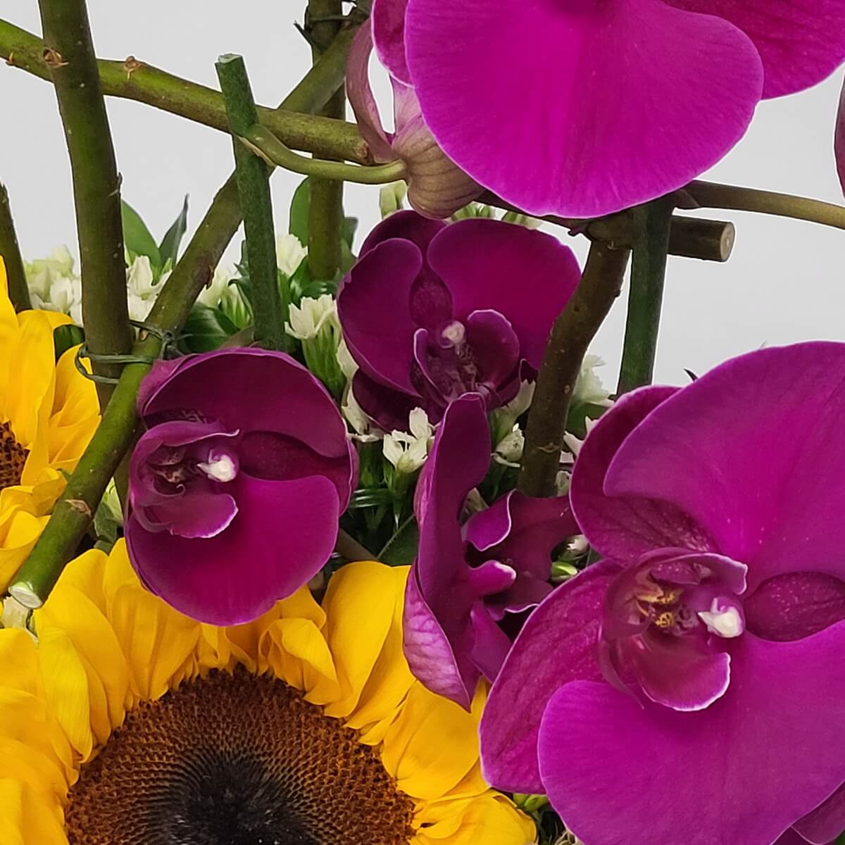 Detail view showing vivid magenta orchids alongside yellow sunflowers, with delicate white dianthus blooms 紫紅蝴蝶蘭與黃向日葵特寫,配細緻白石竹花構成鮮明對比