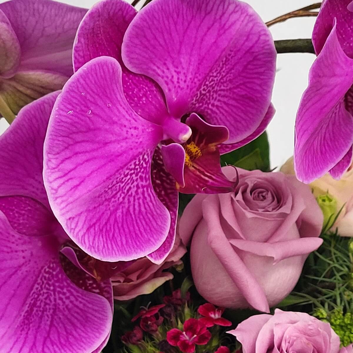 Zoomed-in view of bright fuchsia phalaenopsis orchids, lavender roses, deep red geraniums, and soft blush spray roses. 洋蘭、紫玫瑰、紅天竺葵與嫩粉玫瑰特寫。