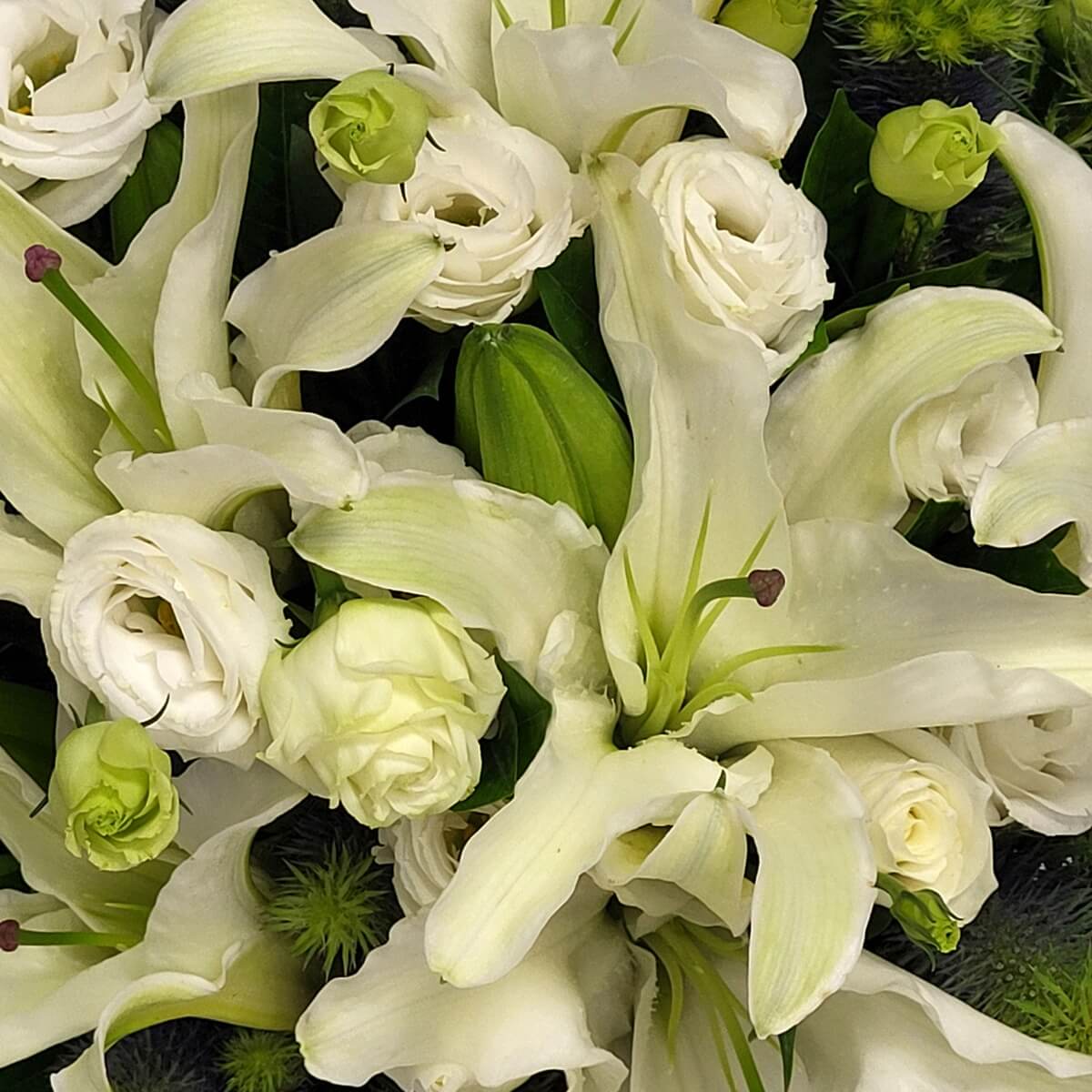 Close-up of blooming white lilies and lisianthus with green buds and spiky foliage, capturing soft textures and contrast 白百合、洋桔梗盛開花朵與綠色花苞及針狀葉材細節特寫
