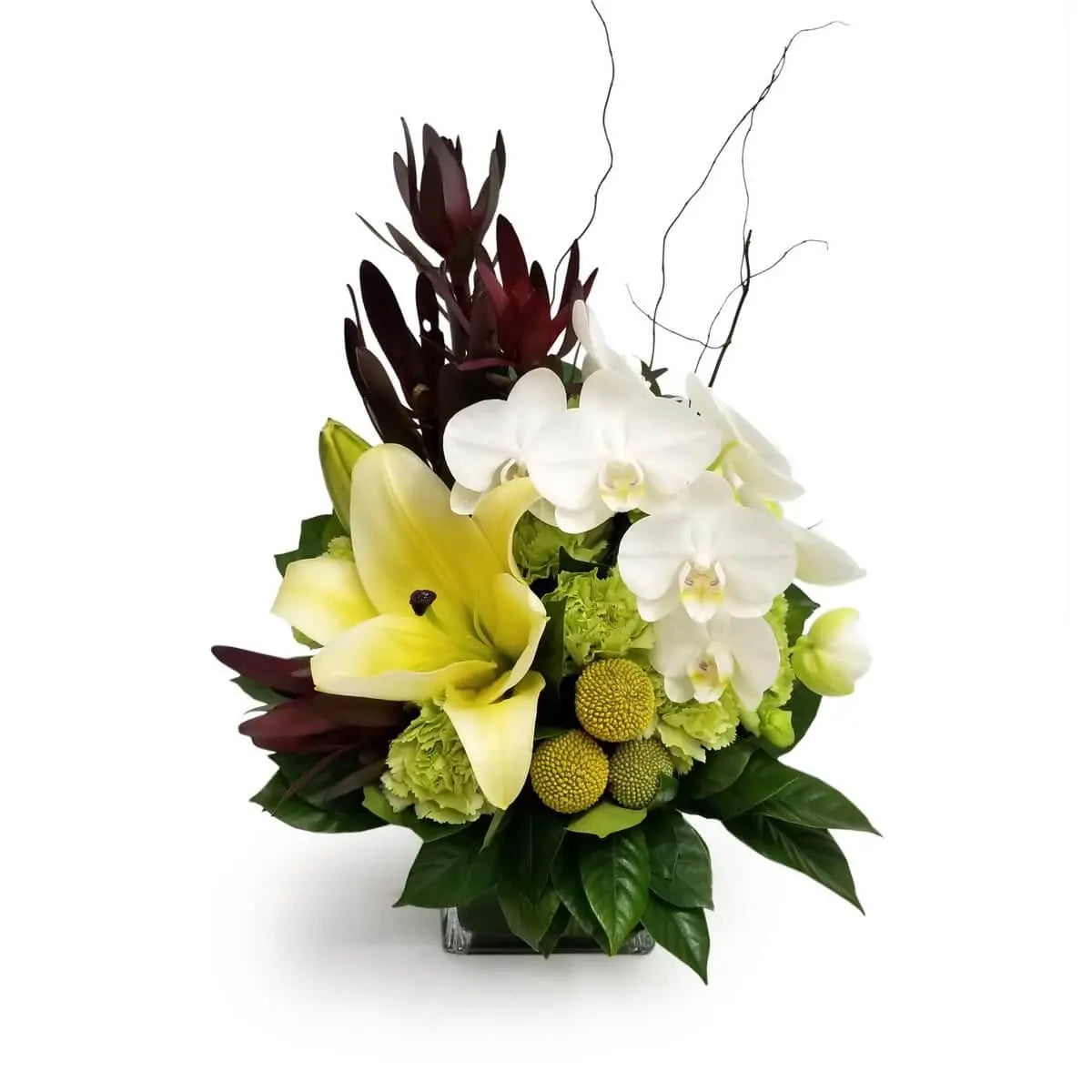Square vase arrangement with yellow lilies, white phalaenopsis orchids, green carnations, craspedia, and dark burgundy foliage. 方形花瓶插黃百合、白蝴蝶蘭、綠康乃馨、金球花及暗紅葉材。