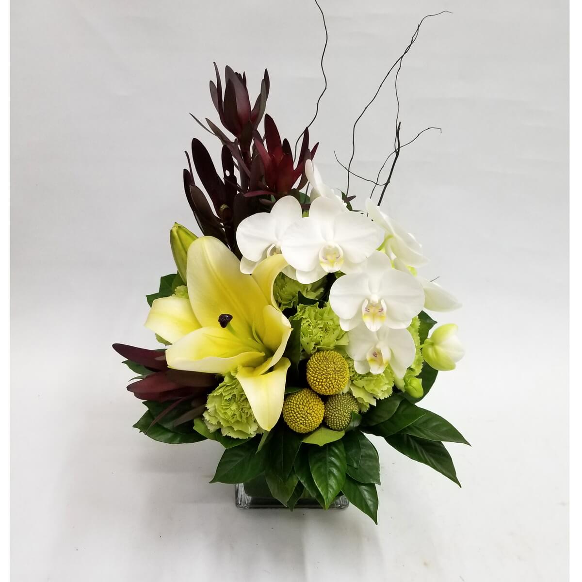Elegant white orchids and yellow lilies paired with green accents in a modern square vase 白色蝴蝶蘭與黃色百合搭配綠色花材,放於現代感十足的方形玻璃花瓶中,展現簡約高雅風格。