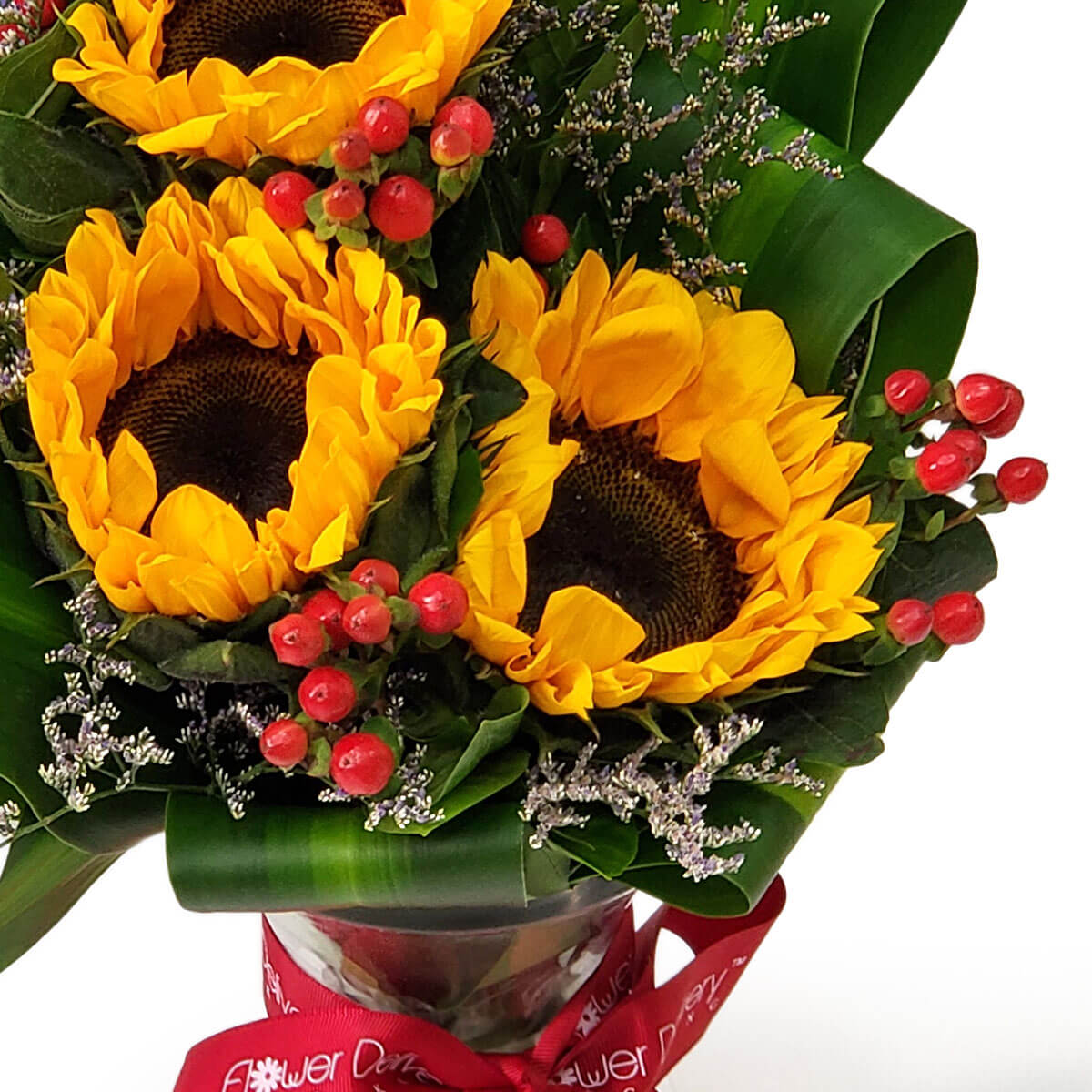 Close-up of sunflowers combined with red hypericum berries, silver filler flowers, and layered tropical greens in a modern wrapped design - 向日葵配紅色聖誕紅果、銀白配花與熱帶層疊綠葉的現代包裝設計近拍圖