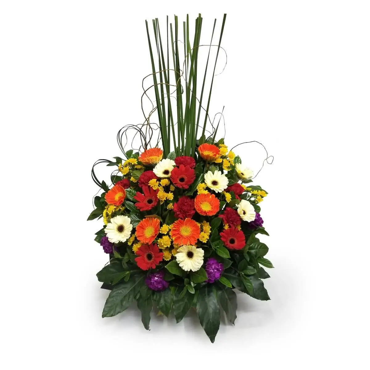 Vivid flower stand with red, orange, ivory gerberas, goldenrod, purple carnations, and decorative reed spikes | 鮮豔非洲菊、紫康乃馨及金雀花搭配高立裝飾草的花籃擺設。