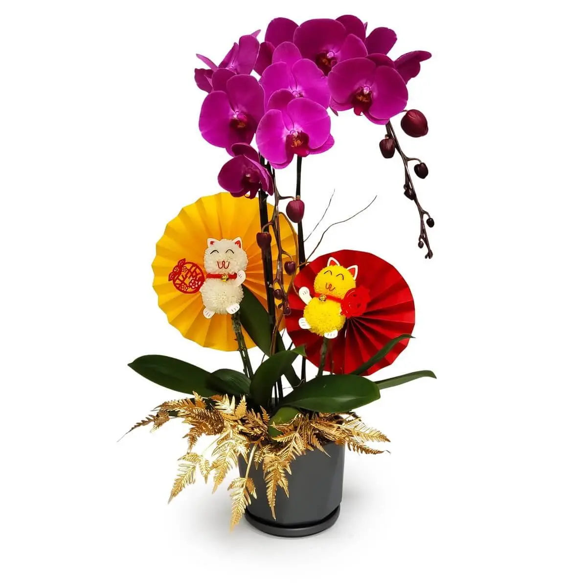 Purple phalaenopsis orchid in black pot, accented with red-yellow fans, golden ferns, and decorative lucky cat figures. 紫蝴蝶蘭配紅黃紙扇、金蕨葉及招財貓擺設,黑色花盆設計。