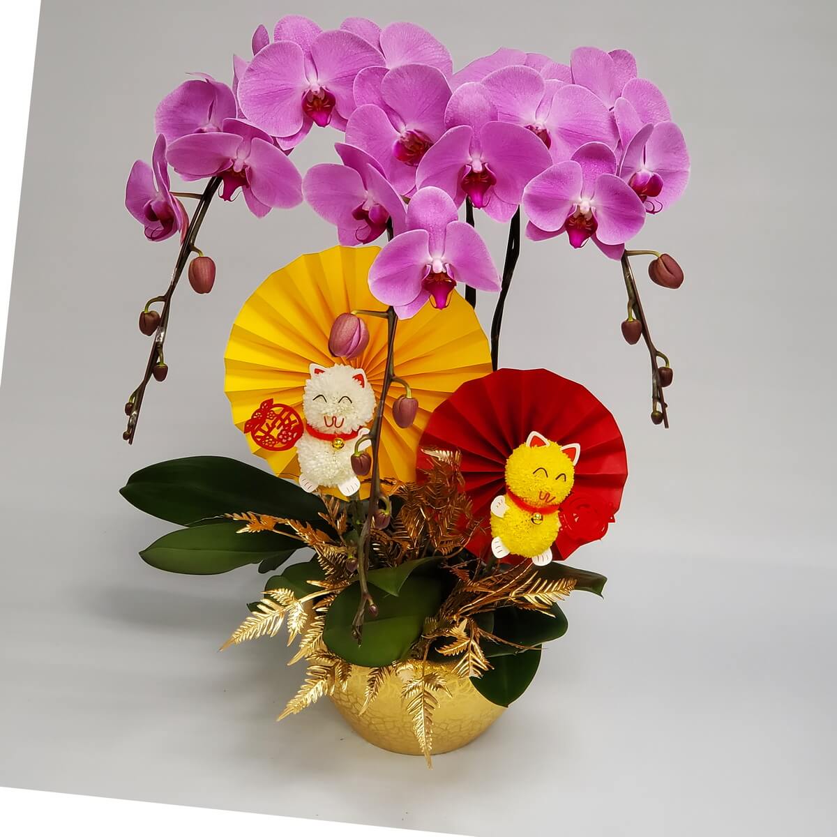 Arrangement of magenta Phalaenopsis orchids with gold ferns, folded fans in red and yellow, and cat-themed decorations 洋紅蝴蝶蘭盆栽,搭配金色蕨葉、紅黃摺紙扇與可愛招財貓擺設,設計色彩鮮明。