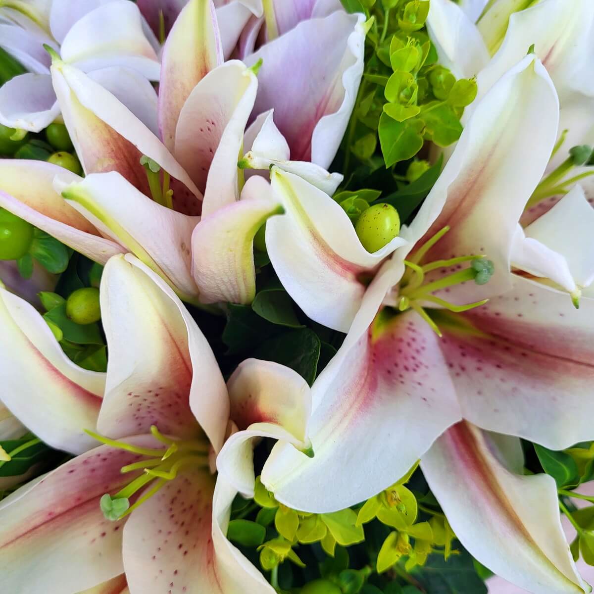 Detail view of pale pink lilies with subtle magenta streaks and speckles, accented with green berries and dense foliage 粉百合帶紫紅條紋與斑點,配綠色漿果及濃密葉材細節特寫