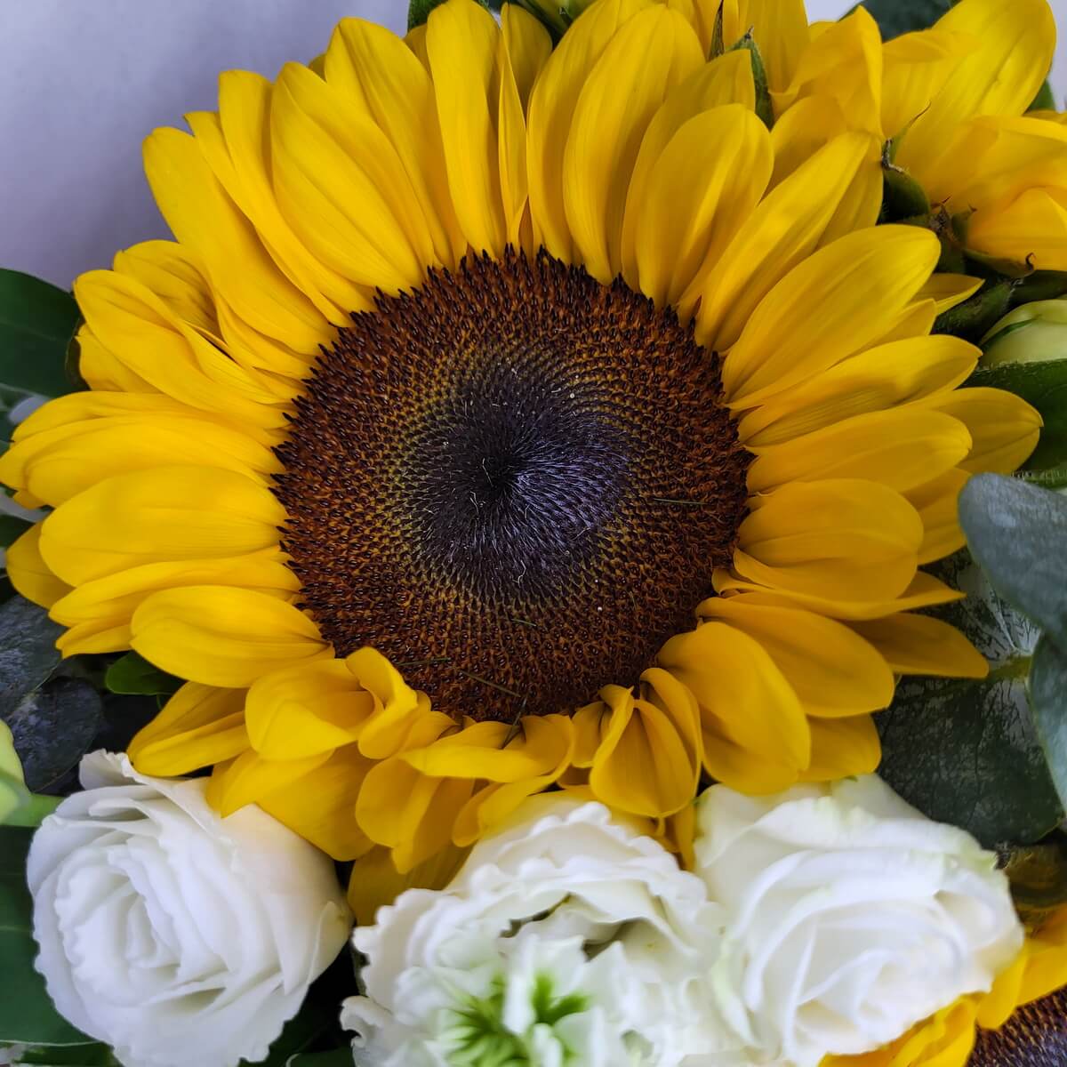 Close-up of a vivid yellow sunflower surrounded by white lisianthus blooms and green foliage | 特寫鮮黃向日葵,襯以白色洋桔梗花朵與綠葉點綴