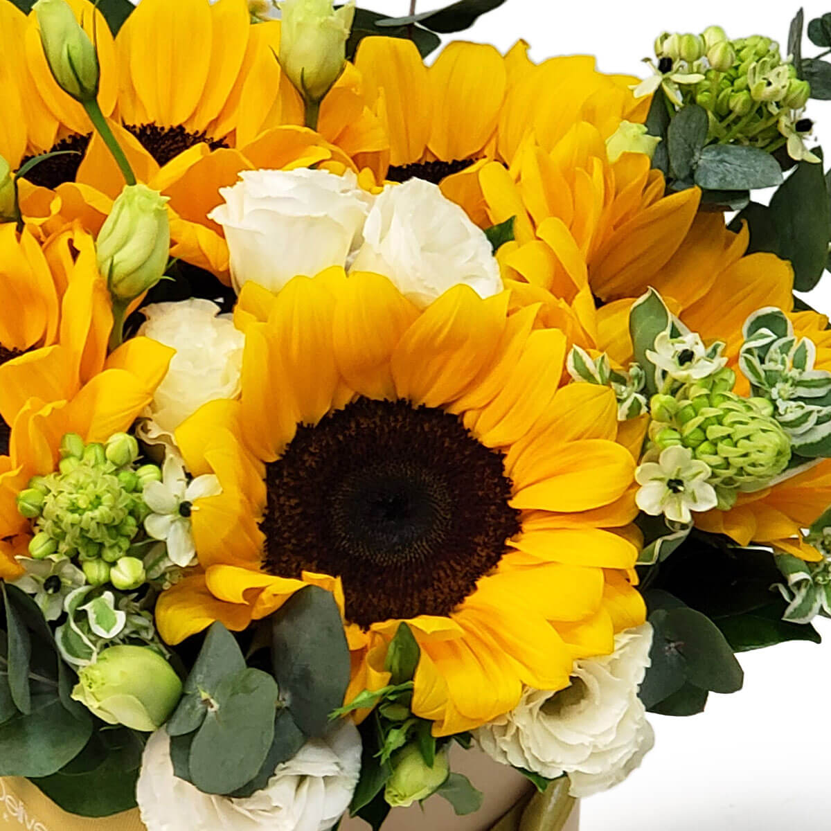 Detail view of a cheerful mix of sunflowers, white lisianthus, green buds, and eucalyptus foliage arranged in a round floral hatbox - 向日葵、白洋桔梗與綠花苞搭配尤加利葉,圓形花盒設計的花藝細節圖