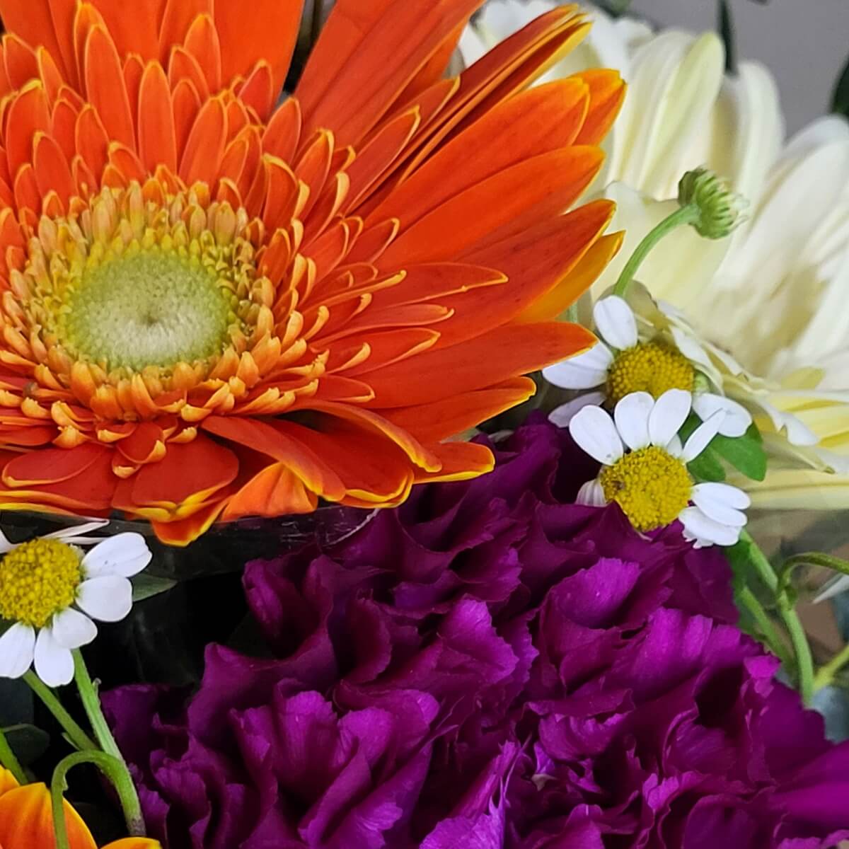 Detail view of layered orange gerbera, ruffled purple carnations, delicate chamomile flowers, and soft cream gerbera petals 橙色層次非洲菊、皺瓣紫康乃馨、洋甘菊與柔奶油色非洲菊構成的細節特寫