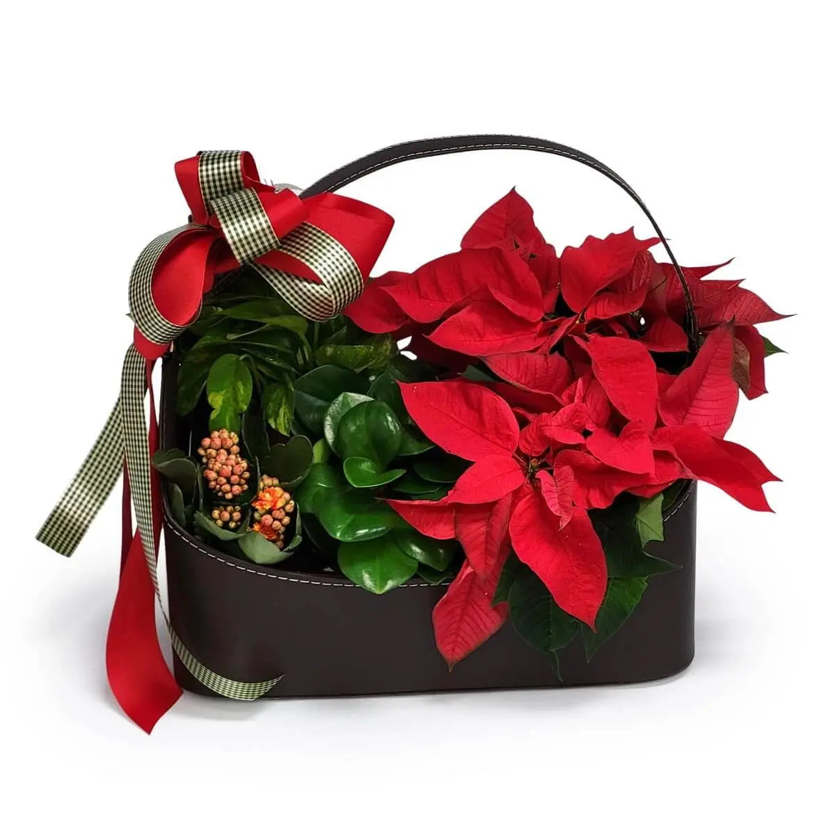 Dark leather handle basket filled with red poinsettias, glossy green foliage, berry clusters, and a ribbon bow | 深色手挽皮籃裝飾紅色一品紅、綠葉植物、果實點綴與格紋蝴蝶絲帶。