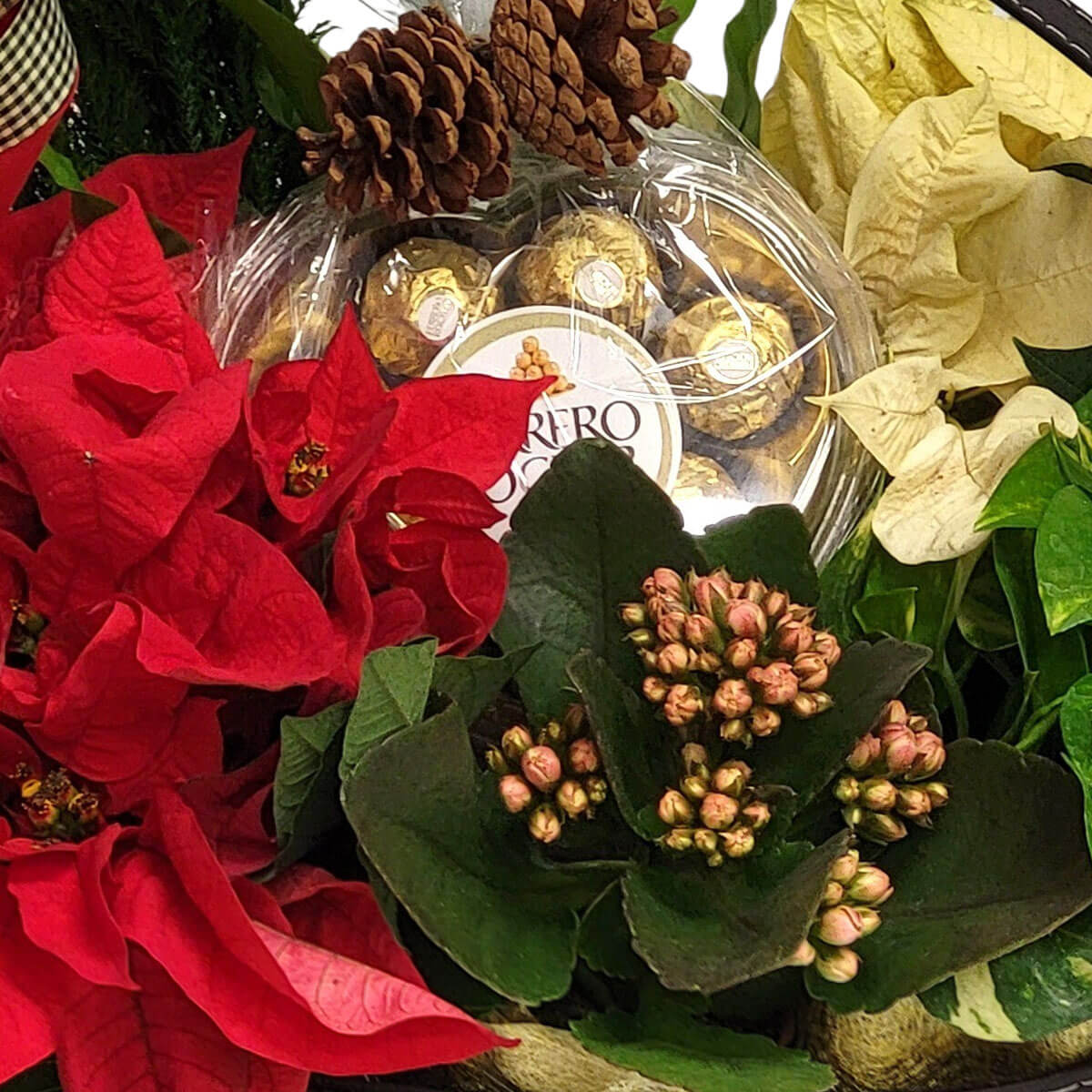 Christmas wreath adorned with a red ribbon, faux snow “Noel” ornament, pinecone, berries, and orange slice 紅絲帶、雪球“Noel”吊飾與松果橙片,打造溫馨聖誕裝飾。