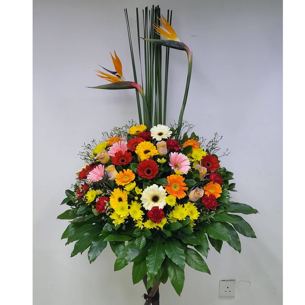 Grand opening flower stand with vibrant gerberas in yellow, red, pink, orange, and birds of paradise – 開張用大型花籃,搭配紅黃粉橙色太陽菊、天堂鳥與玫瑰,色彩繽紛,氣勢非凡