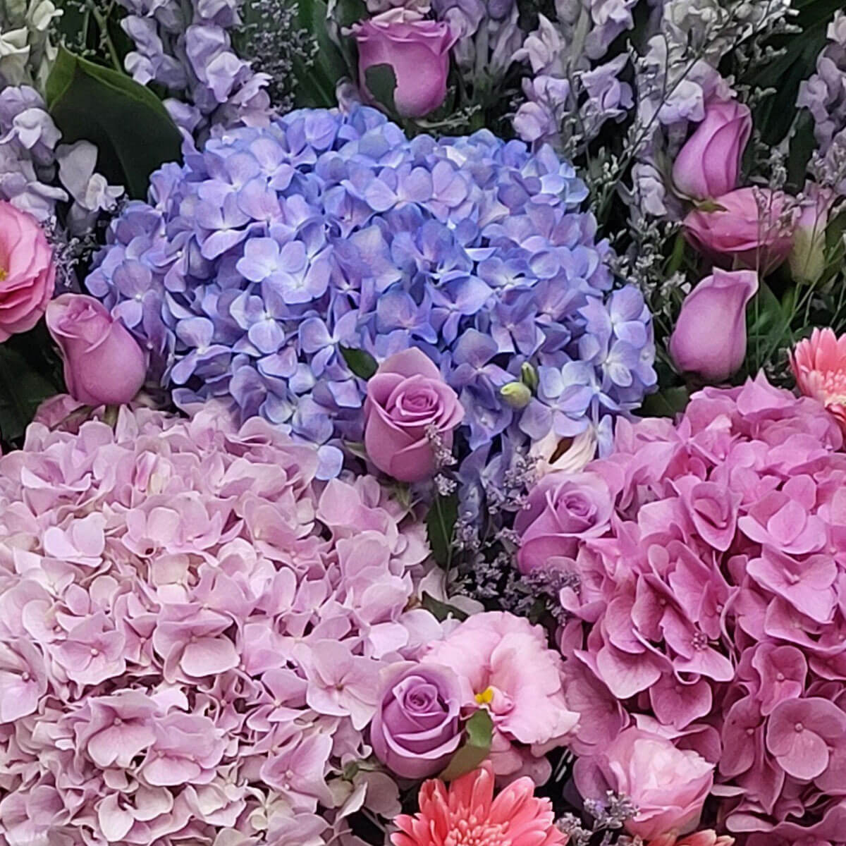 Pastel bouquet of pink, blue, and lilac hydrangeas, roses, and lisianthus 柔和色調花束,繡球花、玫瑰與洋桔梗交織,呈現夢幻浪漫氛圍。