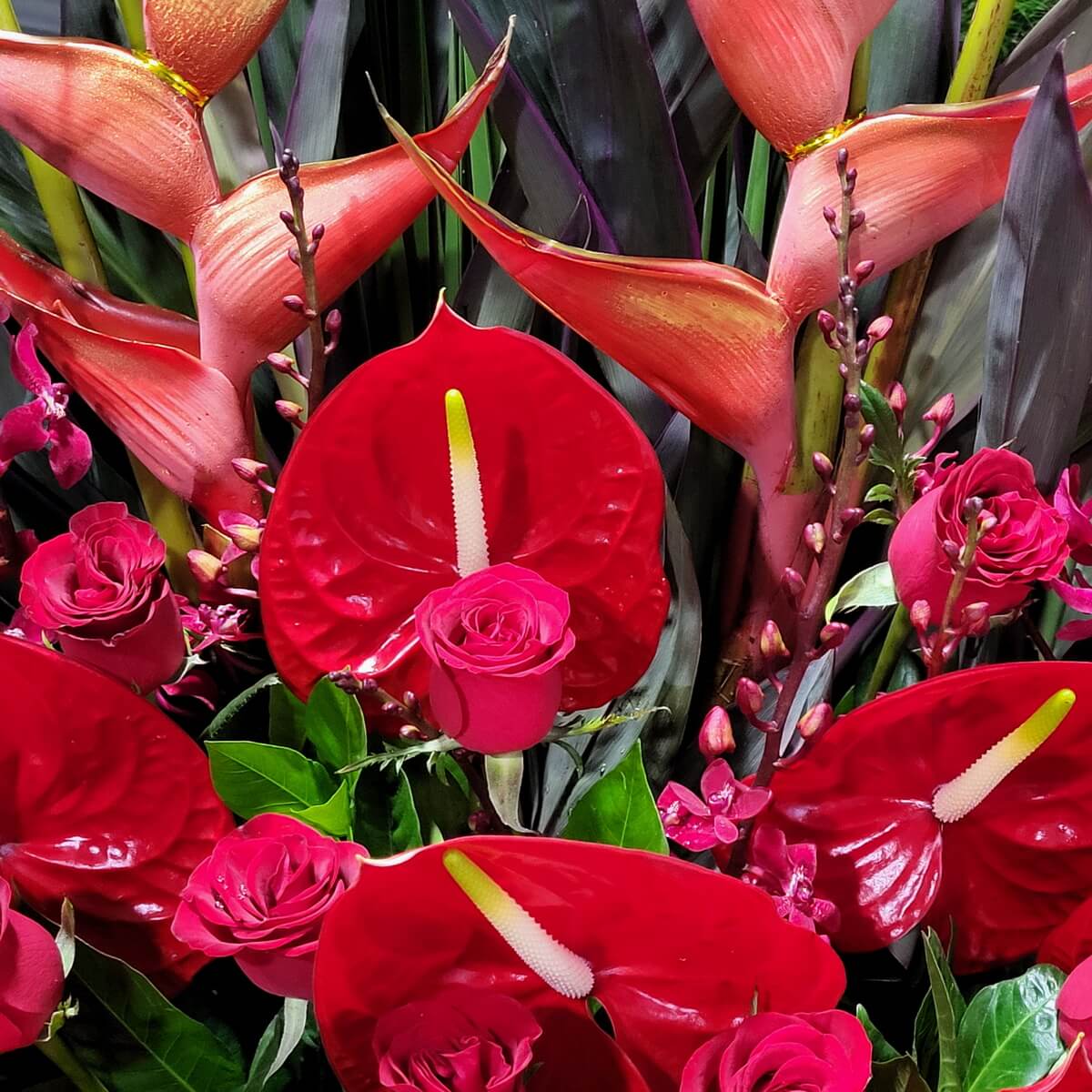 Full arrangement featuring glossy red anthuriums, coral heliconias, vivid hot pink roses, and deep green foliage 鮮紅火鶴花、橘紅天堂鳥與鮮粉玫瑰交織,配搭深綠葉材的完整花藝陳列