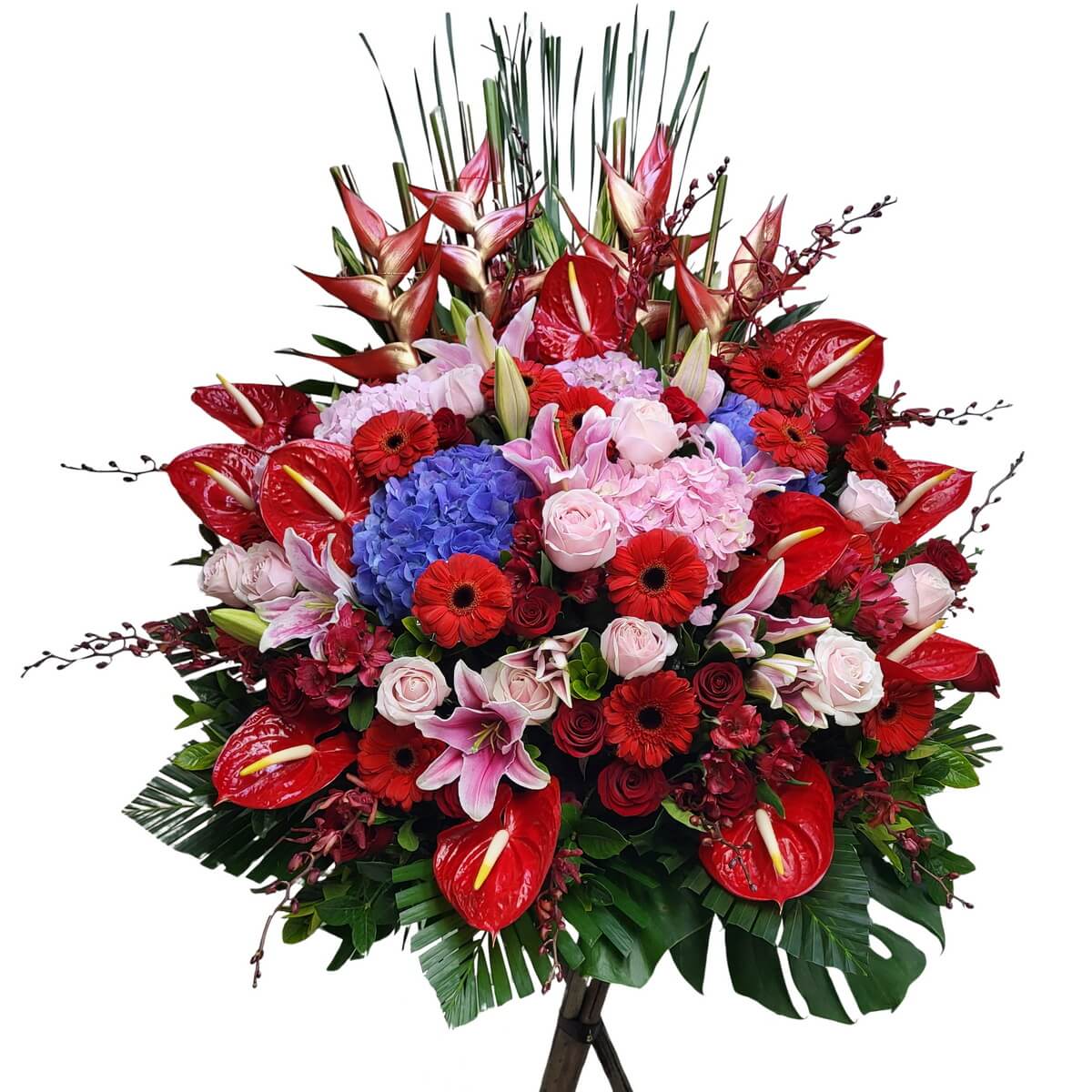 Large floral stand arrangement featuring red anthurium, red gerbera, pink roses, lilies and blue hydrangea with tropical foliage, original photo 大型花牌 紅掌 非洲菊 玫瑰 百合 繡球花 熱帶葉材 原相