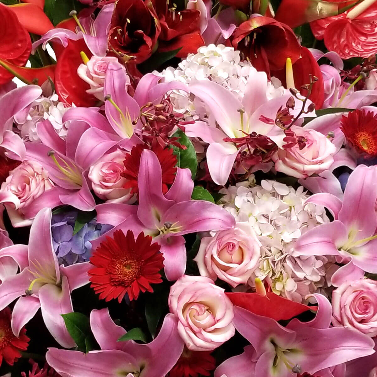 Romantic mix of pink lilies, pale roses, white hydrangeas, red gerberas and anthuriums – 浪漫花束結合粉百合、淡粉玫瑰、白繡球花及紅色太陽菊與火鶴花