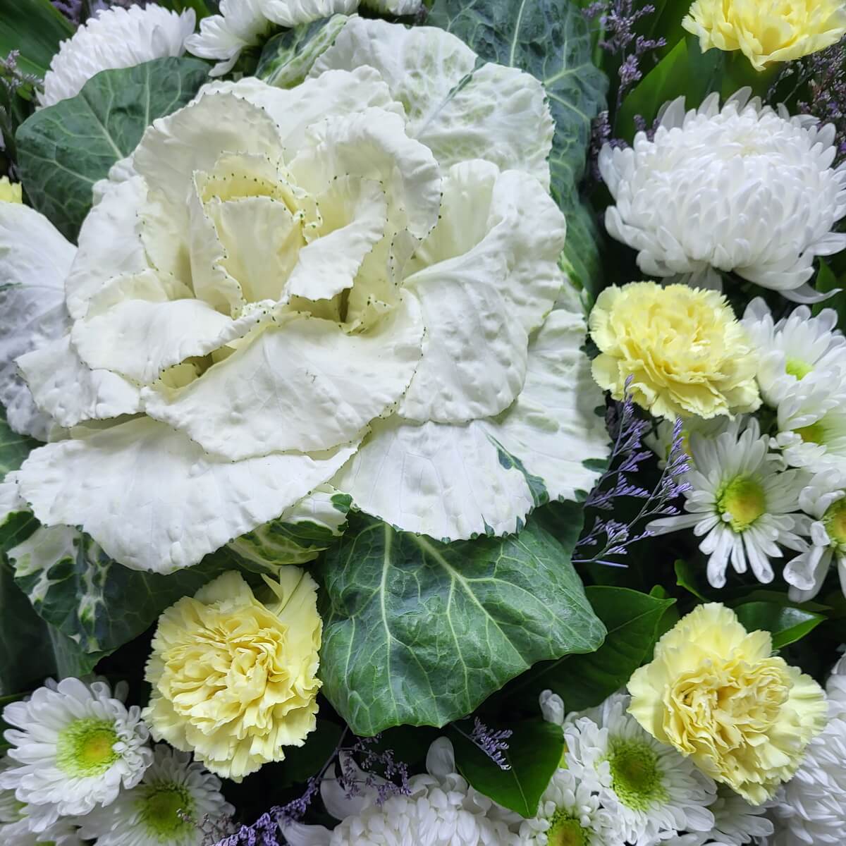 Detail view of ornamental cabbage surrounded by pale yellow carnations, white chrysanthemums, and accents of light purple foliage 中心觀賞椰菜配淡黃康乃馨、白菊花與淡紫襯葉的特寫畫面