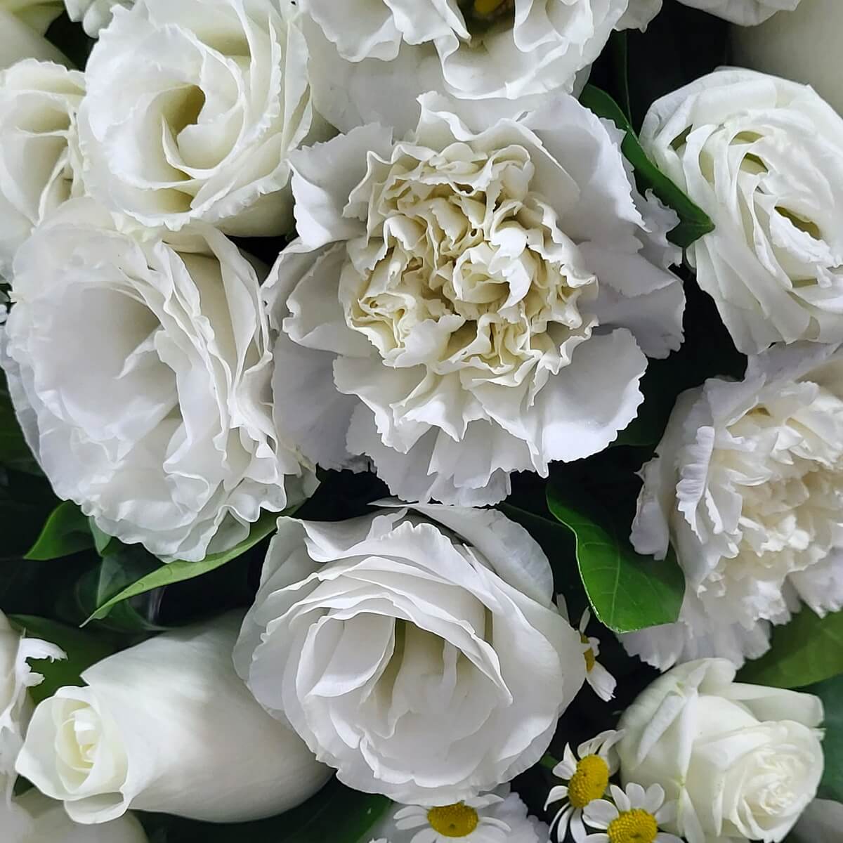 Close-up of white lisianthus, roses, and carnations with chamomile accents, showcasing layered textures 白色洋桔梗、玫瑰及康乃馨特寫,配搭洋甘菊點綴,層次豐富,綠葉襯托。
