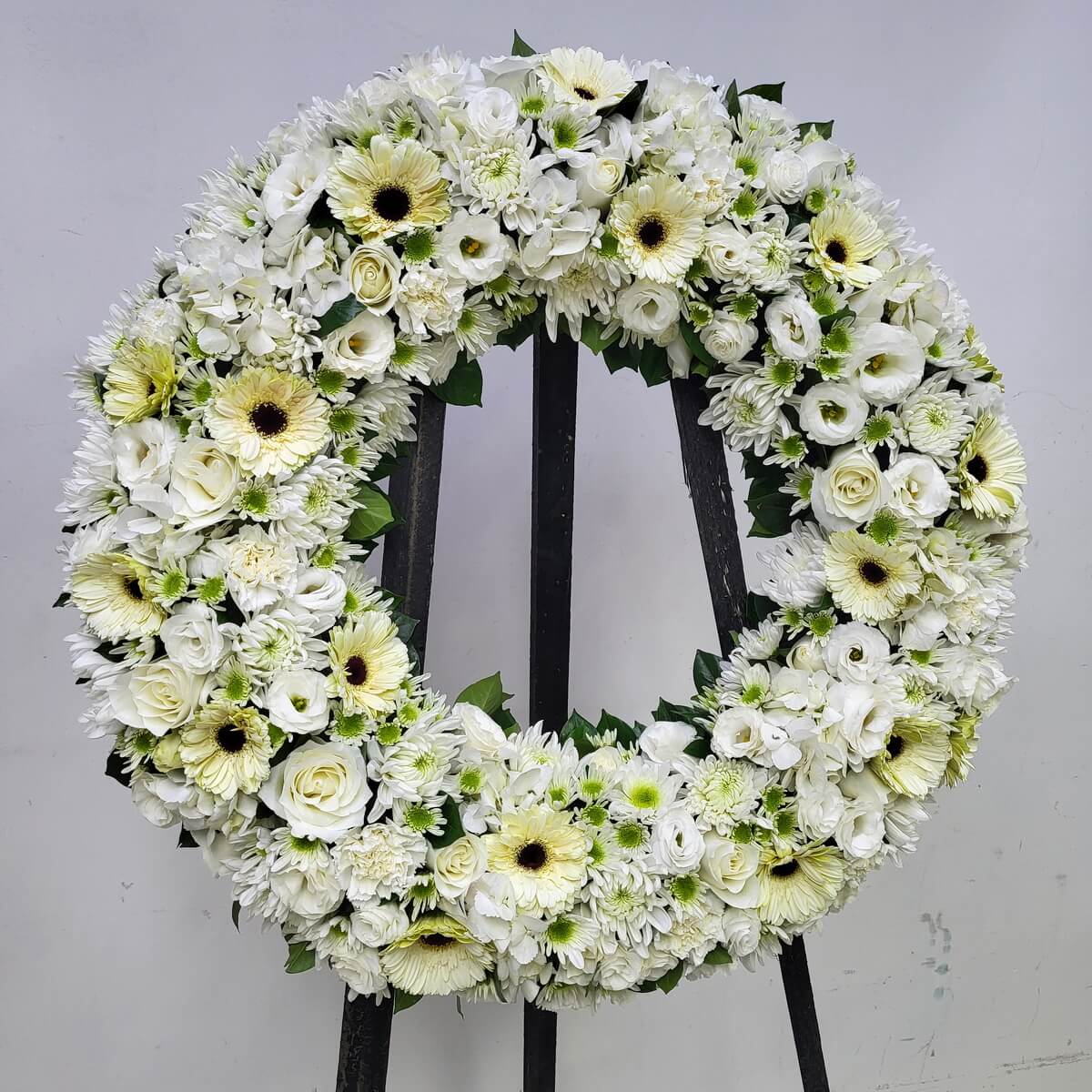 Complete floral wreath with white gerberas, roses, lisianthus, disbud and spray chrysanthemums, green-centered details, and carnations - 白色太陽菊、玫瑰、洋桔梗、大頭及小朵綠芯菊花配康乃馨圓形花圈擺設