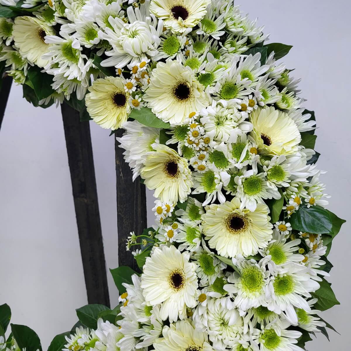 Close-up showing pale yellow gerberas, green-centered white chrysanthemums, small chamomile flowers with yellow centers, and vibrant foliage from floral wreath - 花圈特寫:淡黃太陽菊、綠芯白色菊花、小雛菊及鮮綠葉組合局部放大圖