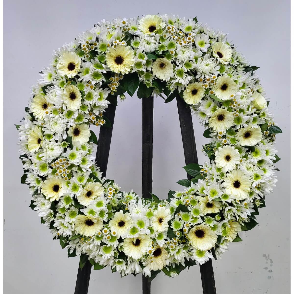 Complete wreath with pale yellow gerberas, green-centered white chrysanthemums, small chamomile flowers with yellow centers, and fresh green leaves, arranged on black stand - 淡黃太陽菊、綠芯白菊、小白菊及鮮綠葉片設計的圓形花圈展示於黑色支架上