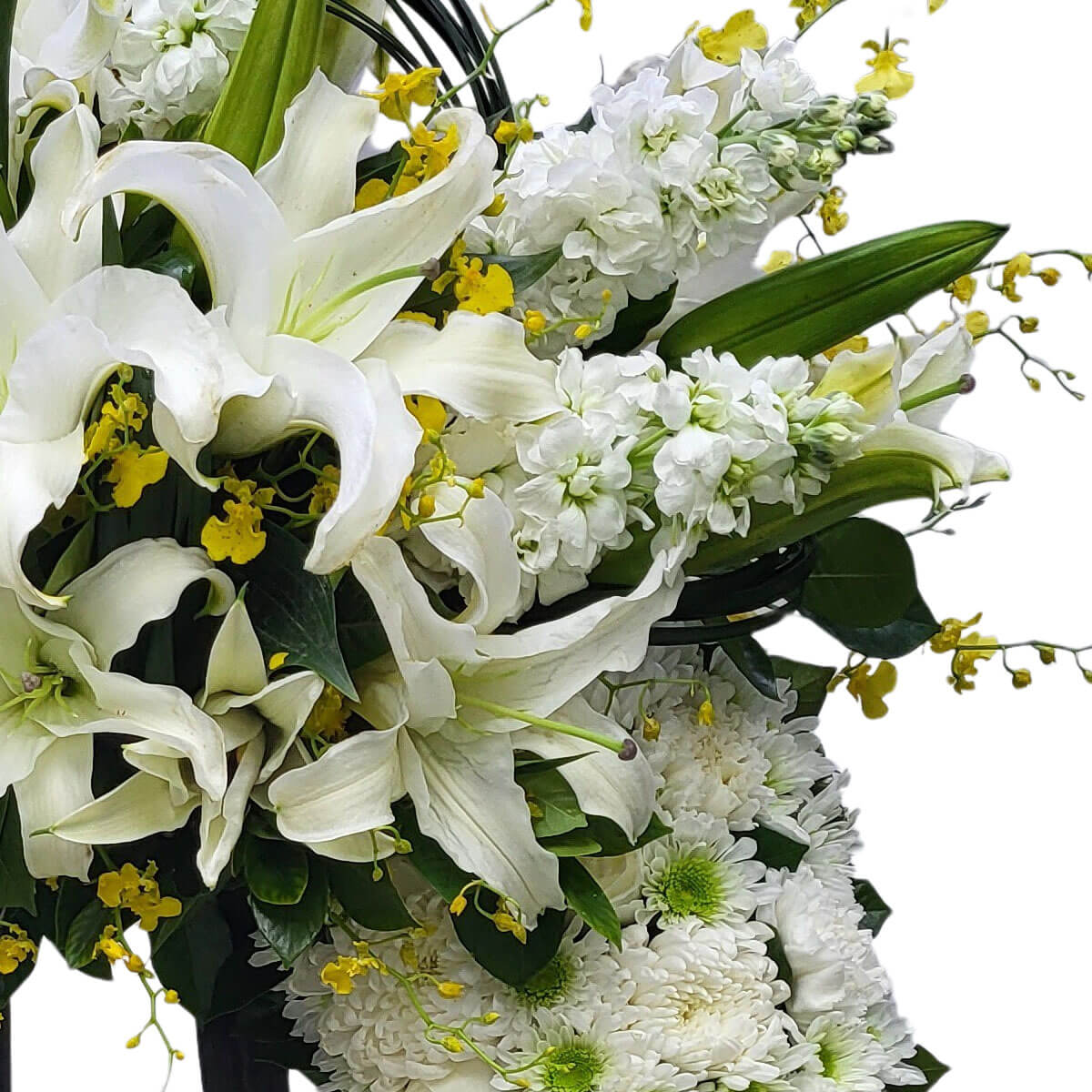 A graceful arrangement of white lilies, chrysanthemums, stock, and yellow orchids 白百合、菊花、香雪蘭與黃跳舞蘭交織出的高雅設計,展現純淨與溫柔的氛圍。