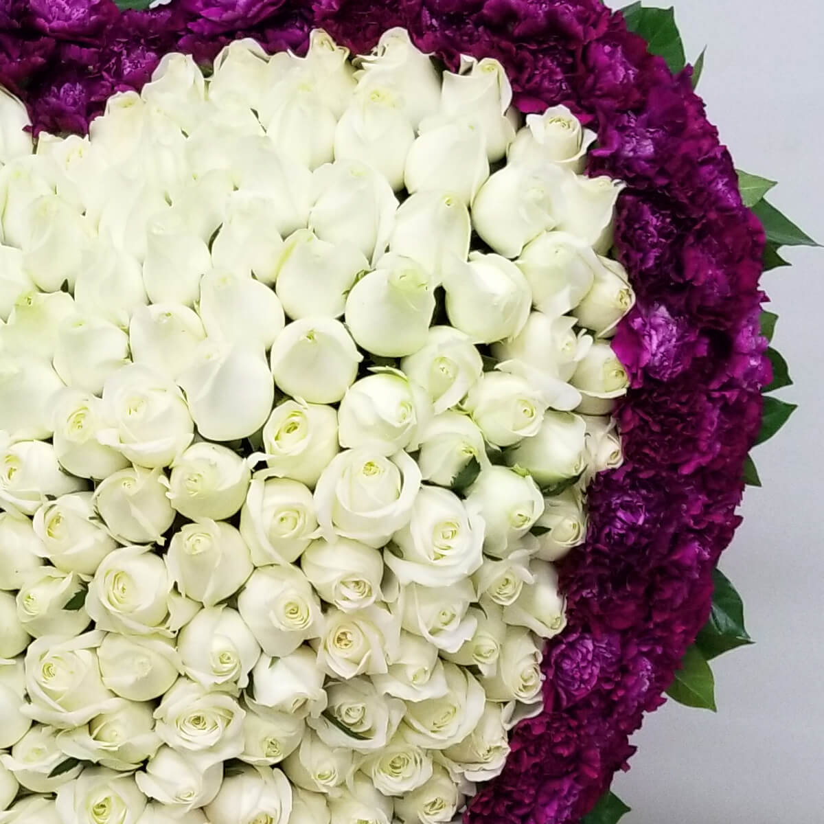 Heart-shaped floral arrangement of densely packed white roses surrounded by a vivid ring of ruffled purple carnations - 密集白玫瑰心形花藝,外圈為鮮明皺瓣紫色康乃馨