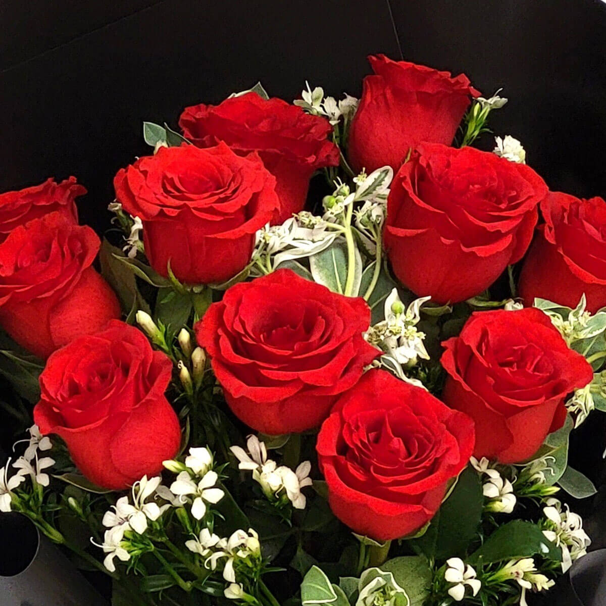A romantic bouquet of red roses and white accent flowers in sleek black wrapping 浪漫紅玫瑰花束,搭配白色點綴花與黑色包裝,經典又動人。