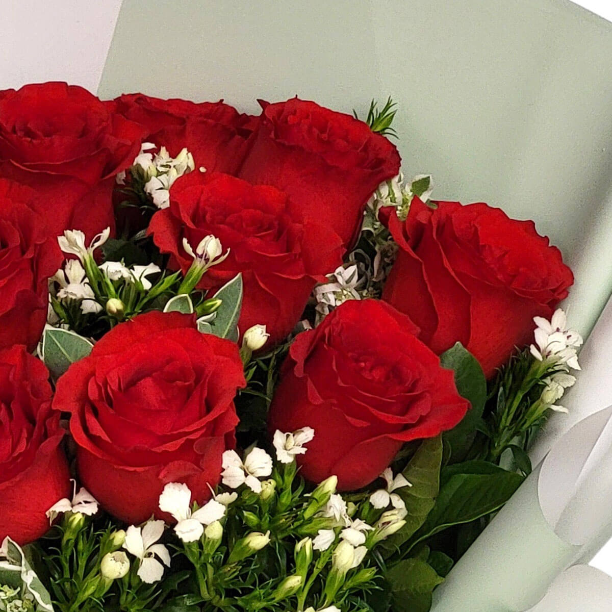 Stunning red roses paired with delicate white accent flowers, wrapped in soft mint green 紅玫瑰與白色小花巧搭薄荷綠包裝,優雅且帶有清新氣息。