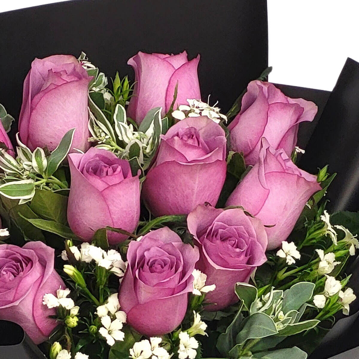 A bouquet of graceful lavender roses with white filler blooms and leafy greens 淡紫玫瑰綻放高貴氣質,佐以白色小花與綠葉,黑色包裝更添時尚感。