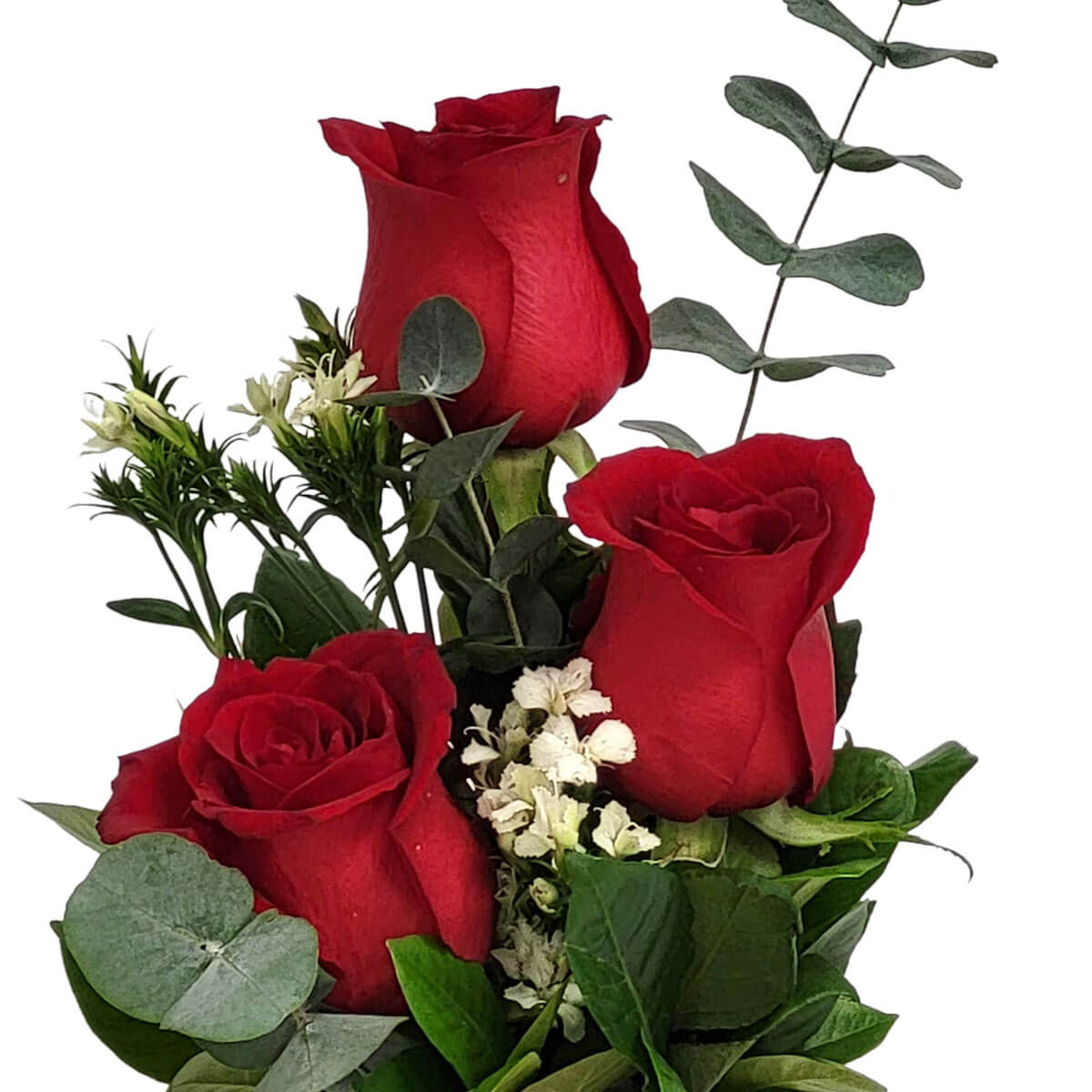 Arrangement of three red roses complemented by eucalyptus, white statice, delicate greens, and small white accent blooms - 紅玫瑰三枝,配尤加利葉、白色勿忘我、小白花與清新綠葉組成小巧花藝