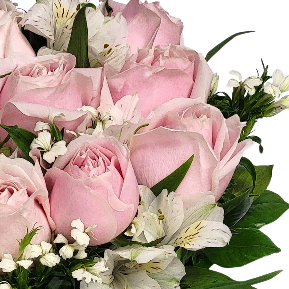 A graceful bouquet of blush pink roses and white blooms, surrounded by lush greenery 柔粉玫瑰與白色花朵搭配綠葉,營造出細膩溫柔的氛圍。