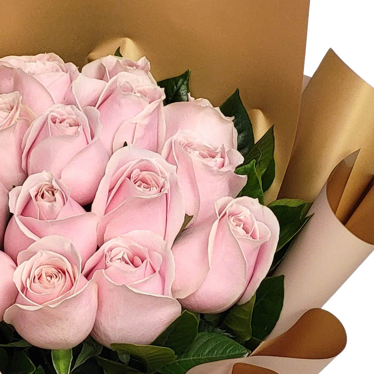 A refined bouquet of pastel pink roses wrapped in golden paper, perfect for elegant gestures 粉色玫瑰與金色包裝相得益彰,傳遞高雅情意。