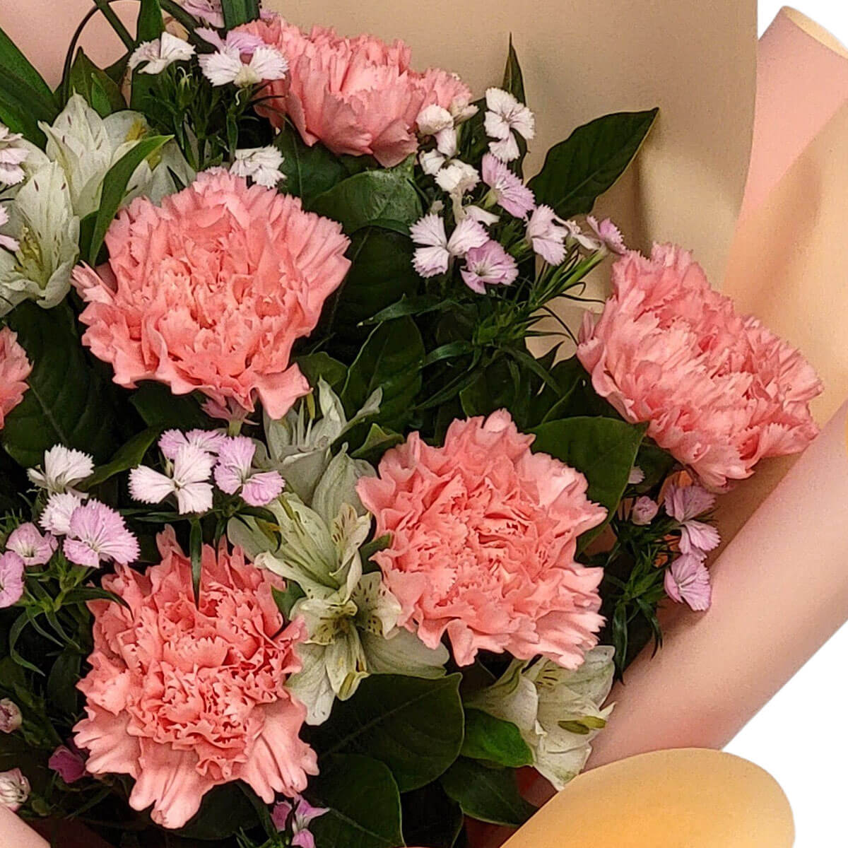 A delicate bouquet of pink carnations and white alstroemeria, wrapped in soft peach tones 柔粉康乃馨與白色六出花組合,蜜桃色包裝增添溫柔氣息。