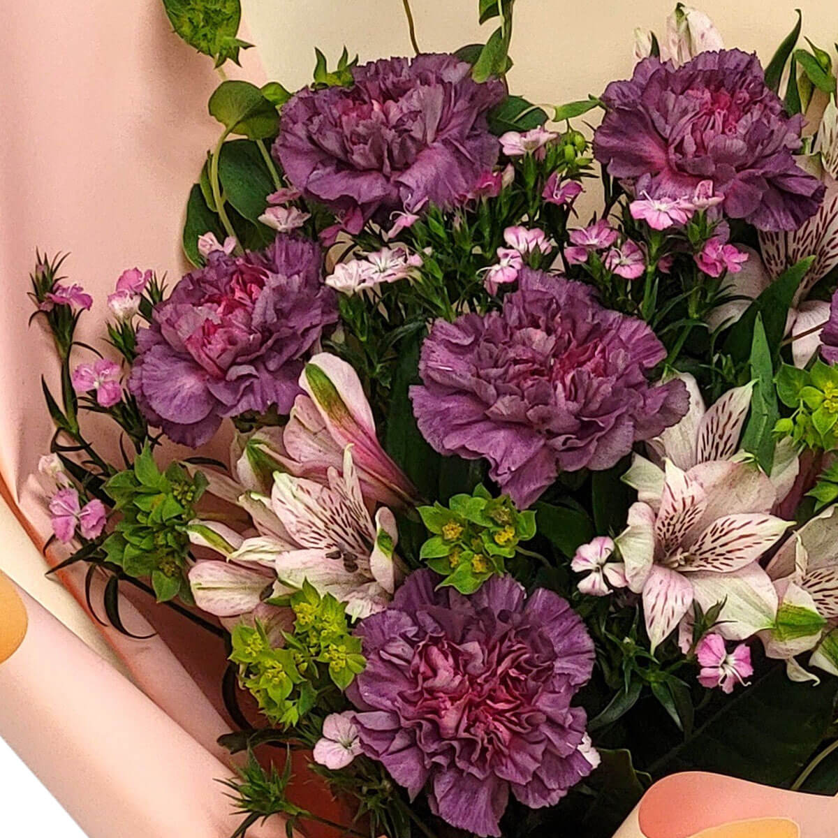 A lush bouquet of purple carnations, white alstroemeria, and pink accent flowers in blush pink wrap 紫色康乃馨、白六出花與粉色配花組合,淡粉色包裝展現高雅氣質。
