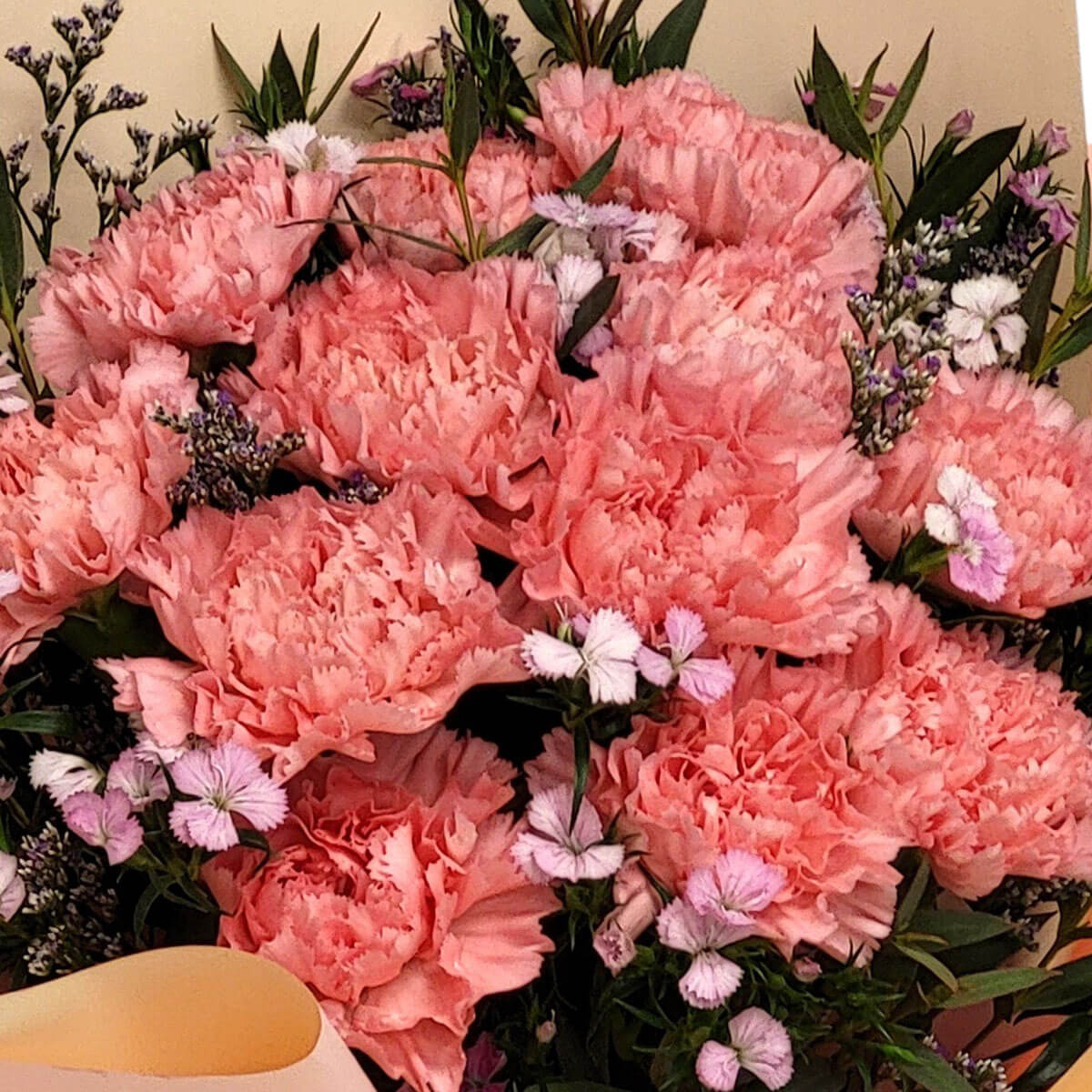 Full coral pink carnations paired with light pink and purple accents, wrapped in soft peach tones 豐盈珊瑚粉康乃馨與粉紫配花組合,蜜桃色包裝散發溫柔氣息。