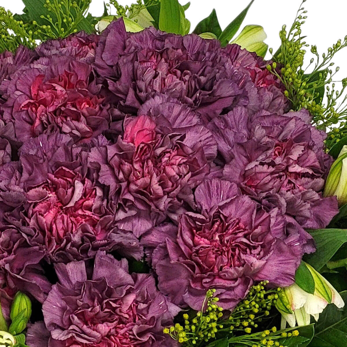 Deep plum carnations bloom with rich texture, accented by fresh greens and white buds 深梅紫康乃馨盛開展現豐富層次,襯以清新綠意與白色花苞,優雅沉穩,氣質獨具。